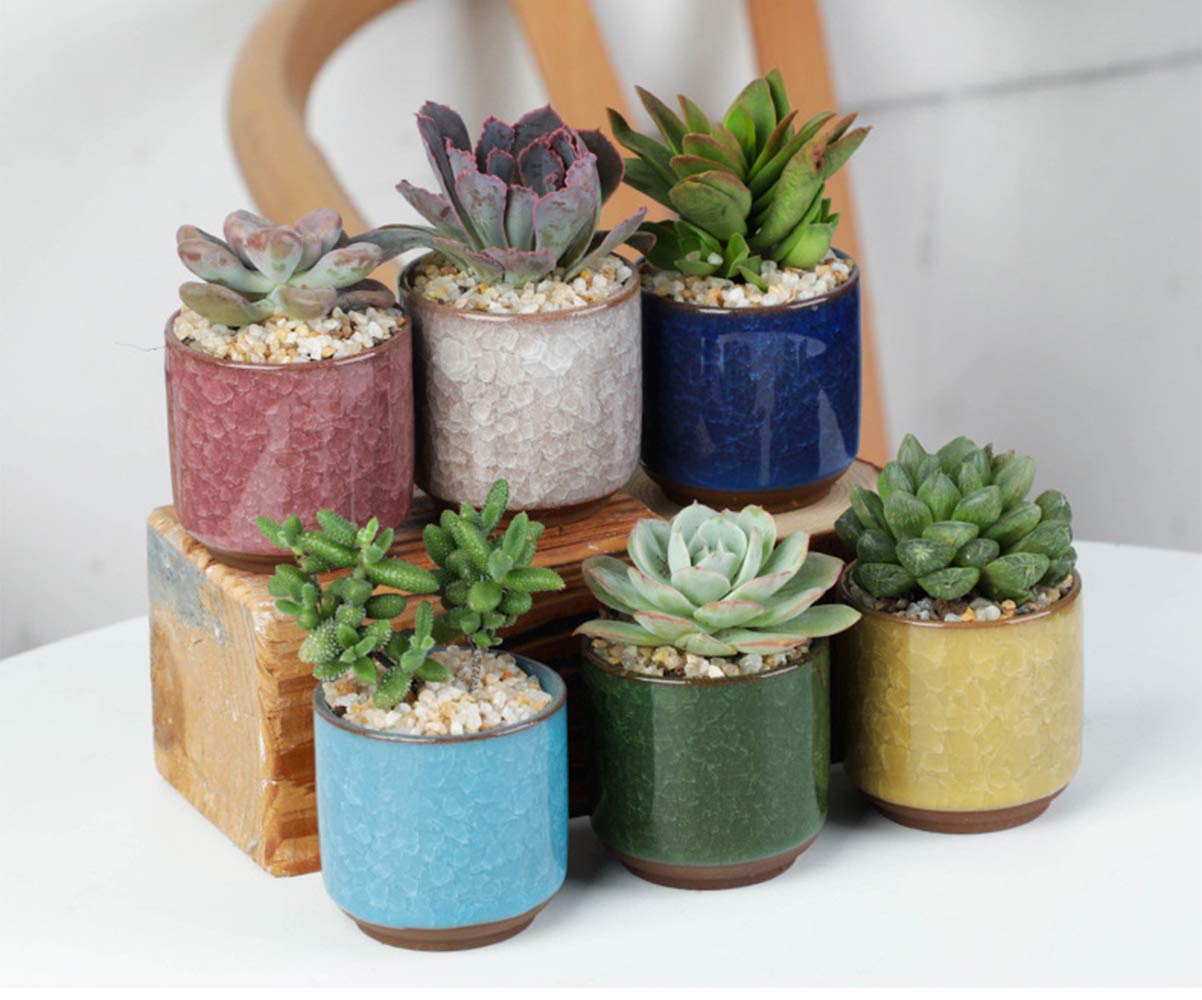 Lawei 8 Pack 2.5 Inch Mini Succulent Plant Pot with Drainage and Bamboo Tray, Small Ceramic Cactus Plant Pot, Flower Pots Faux Plants Containers for Home Garden Office Decoration(Plants NOT Included)