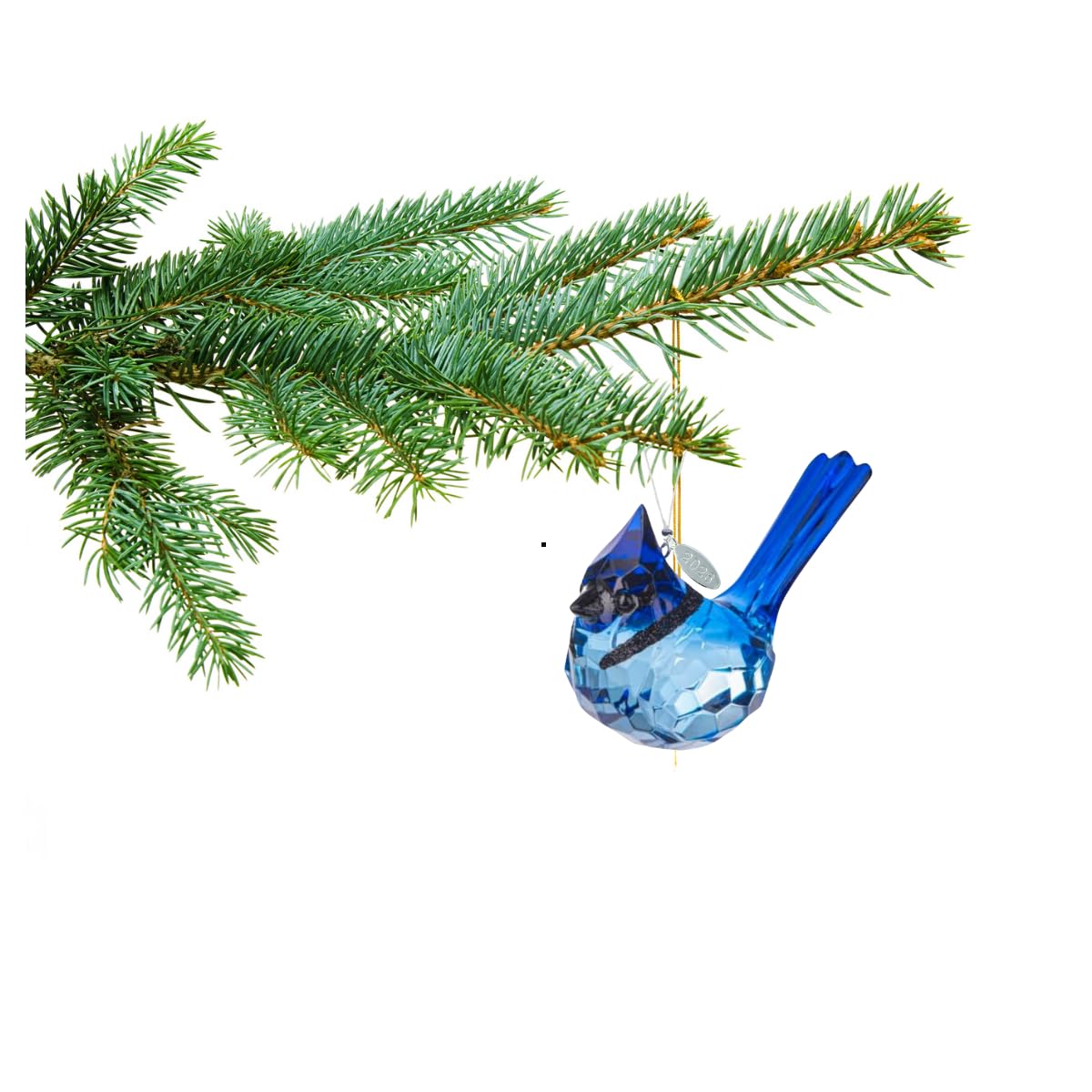 Birdwatcher Gift, Stunning Blue Jay Sparkling Suncatcher, Acrylic Ornament - A Perfect Bird Gift with 2026 Charm & Suction Cup - Stunning Acrylic Bird Suncatcher, Blue Jay Car Charm