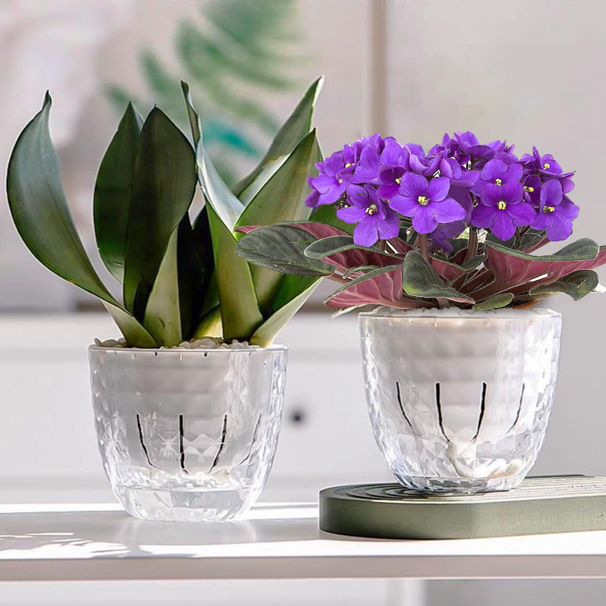 XKYQSY 2 Pack 6 inch Self Watering Pots Planters for Indoor Plants, African Violets Pots with Wick Rope, Modern Plastic Nursery Pots for All House Plants,Flowers Succulents,Herbs,Cactus,Orchids