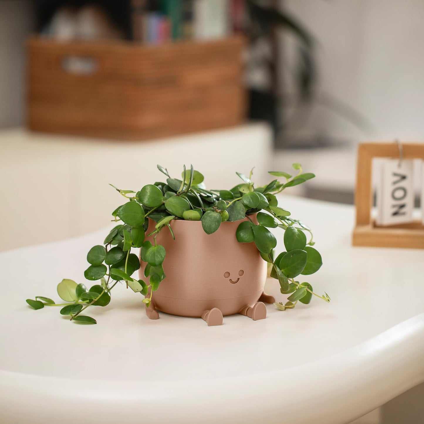 TOPOLA Happy Face Planter, 5.2 Inches Plastic Plant Pot, Self Watering Plant Pot with Drainage Holes for Indoor Outdoor, Succulent Pot, Funny Flower Pot, Khaki