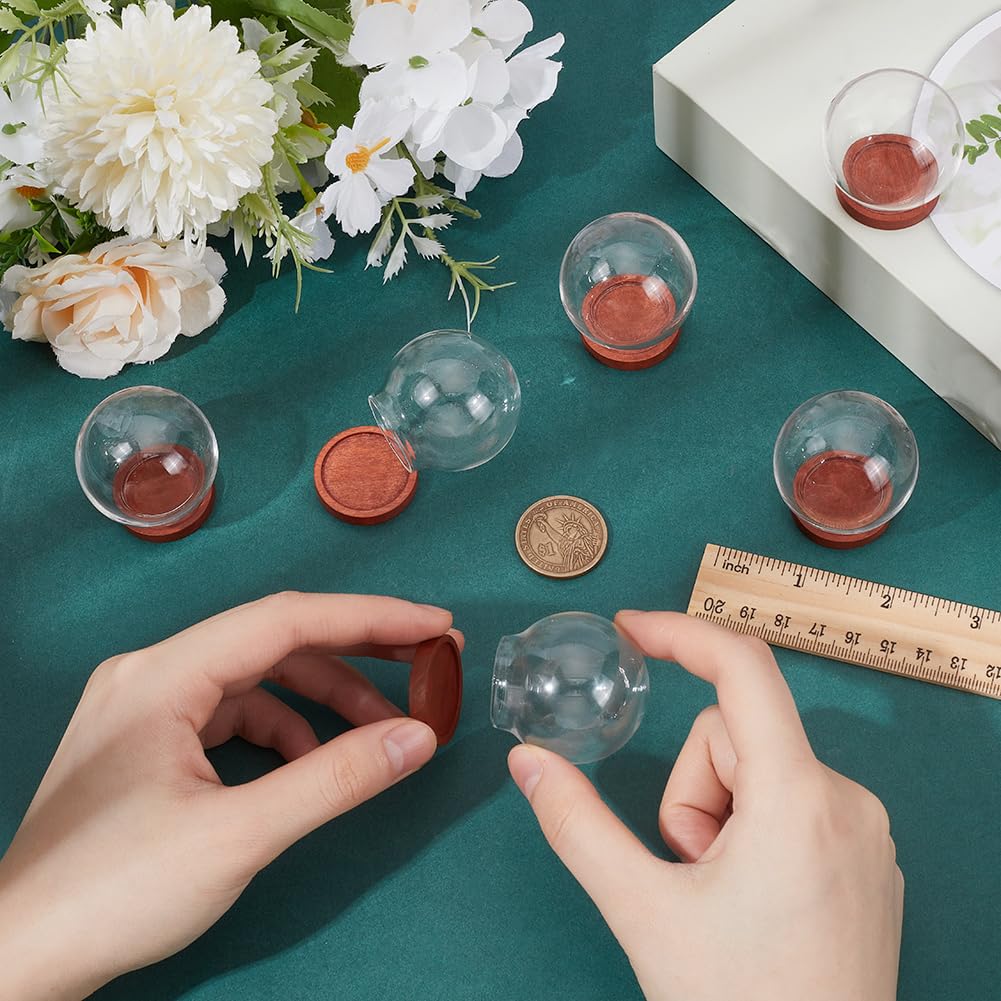 NBEADS 6 Pcs Mini Round Glass Dome, Clear Glass Display Dome Cover with Wood Base Cloche Bell Jar for Centerpieces Plants Rocks Specimens Decorations Crafts, Diameter: 1.57 inch FireBrick