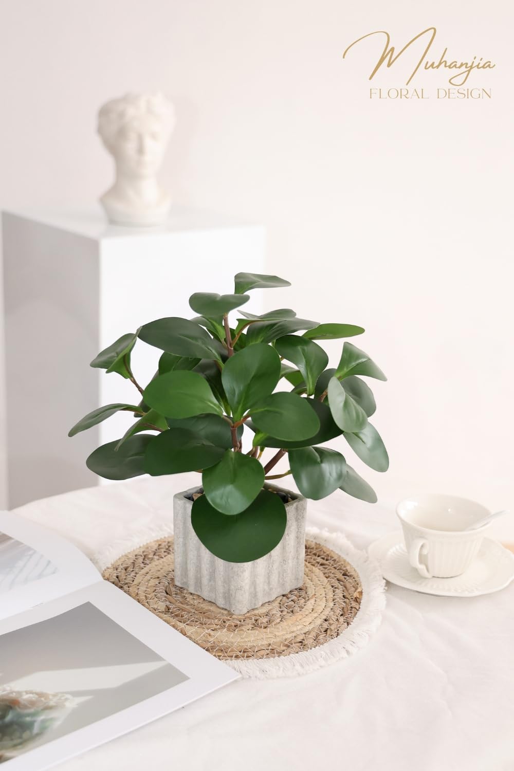 Muhanjia Artificial Potted Plant, Lifelike Faux Greenery in Decorative Cement-Look Square Pot for Indoor Home Decor Centerpieces (Peperomia)