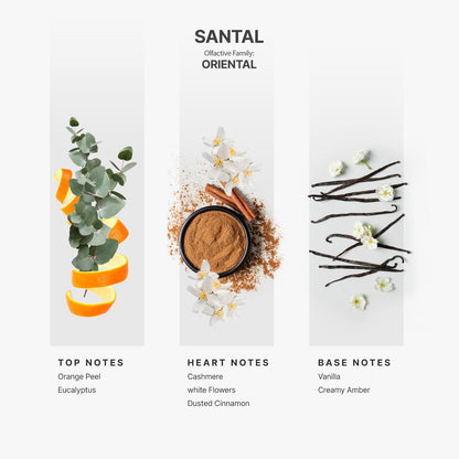 AromaPlan Hotel Scents Santal 5 Fl Oz (148ml), Home Luxury Aroma & Hotel Fragrance Diffuser Oil- Hotel Diffuser Oil for Aromatherapy- USA Made, Bigger Bottle, Bolder Aroma & Longer Lasting