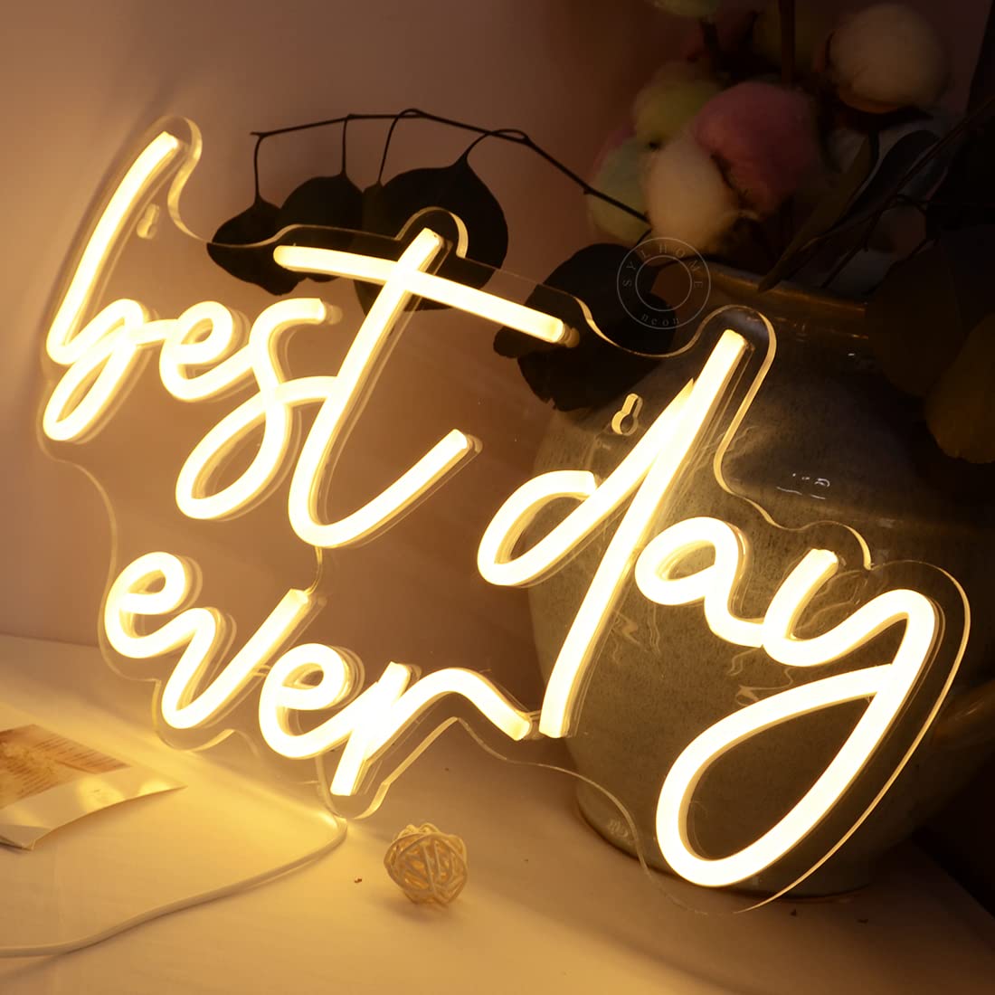 SYLHOME Best Day Ever LED Neon Light Up Sign USB Bedroom Living Room Bar Club Baby Cave Wall Decor Sign Wedding Birthday Anniversary Proposal Party Sign Christmas Gifts 15.8" X 9.1" 5V