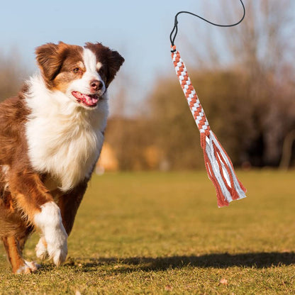ASOCEA Flirt Pole for Dogs，Extendable Teaser Wand Pet Flirt Stick Outdoor Interactive Toy with 2 Chasing Tail Chewing Cotton Rope for Small Medium Large Dogs Training Pulling