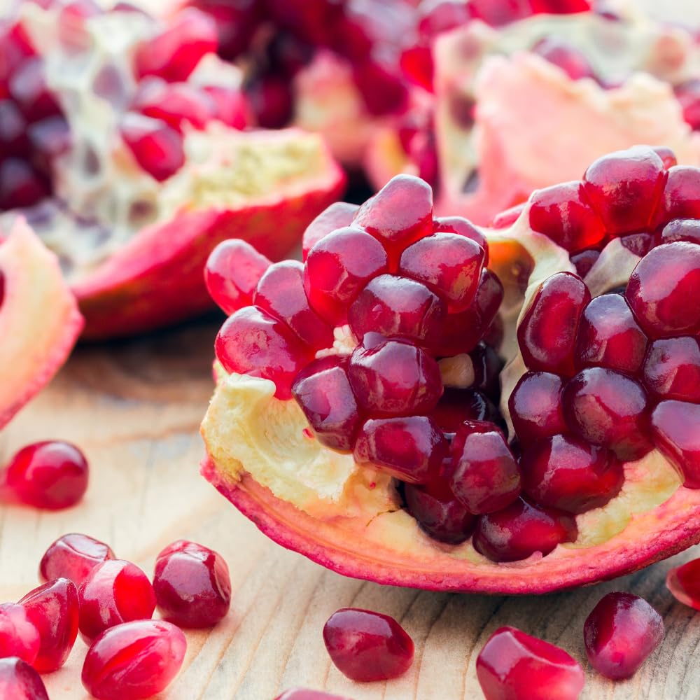 Cold Hardy Pomegranate Tree in Gallon Pot, 20-24 Inches Tall, Live Pomegranate Farfianka Plant, Easy-Care Strong Rooted Plant, Beautiful, Hardy Tree for Outdoor Growing, No Ship to CA,HI,AK