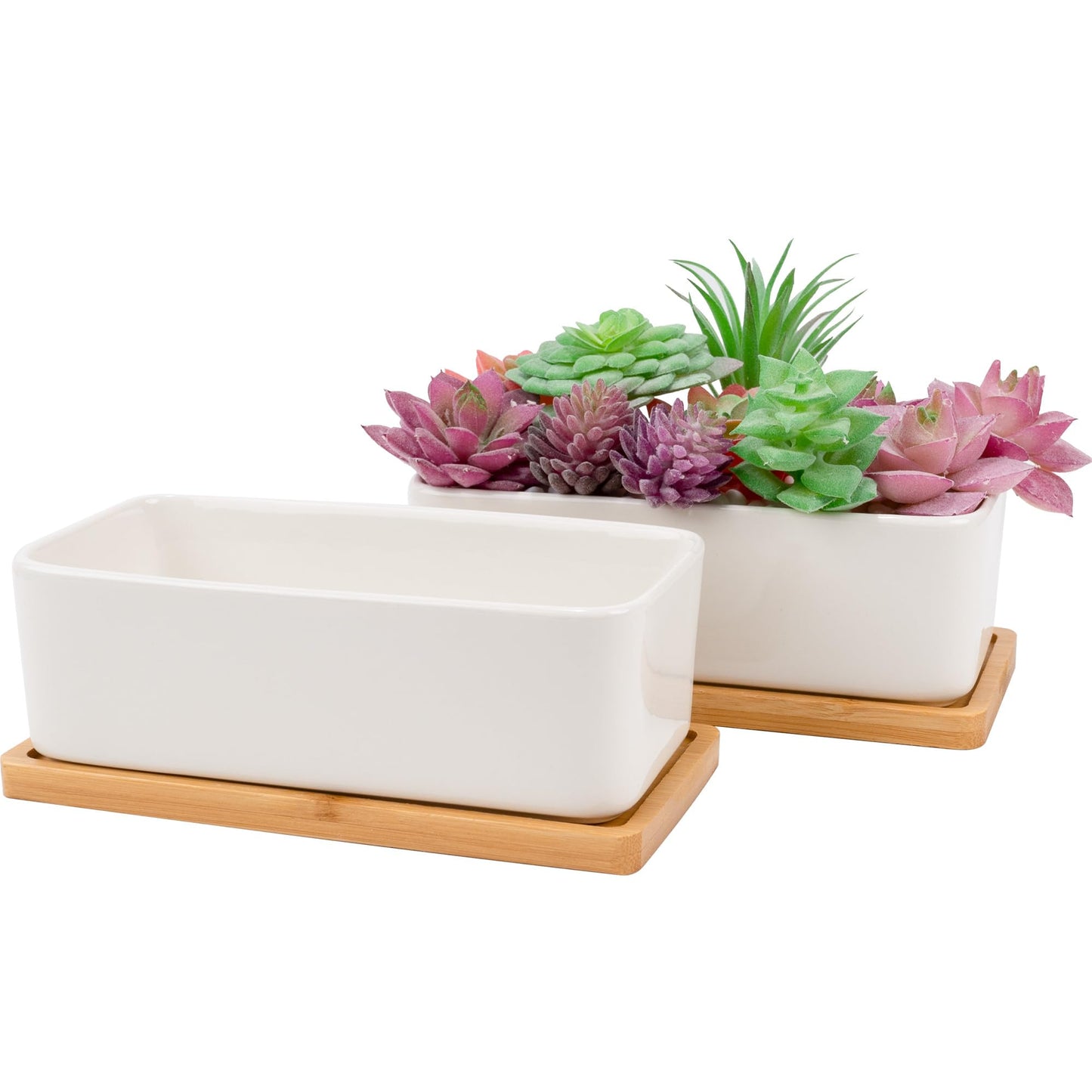 Leismy 2 PCS Succulent Pot Cactus Containers White Ceramic Planter with Drainage Hole and Removable Tray Small Plant Pots for Home Office Decor Bonsai Container for Indoor Outdoor Plants (Rectangle)
