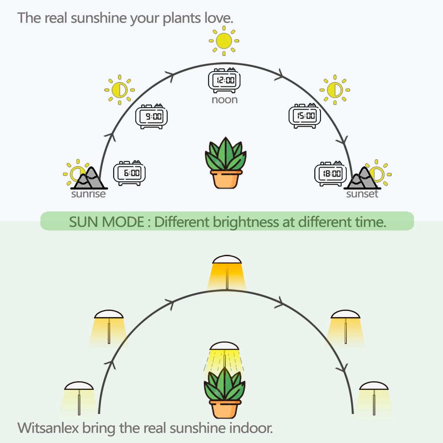 LED Grow Lights for Indoor Plants 2 Pack, Smart USB Small Full Spectrum Plant Lights with Remote, Height Adjustable, Auto On/Off Timer, Ideal for Home Decoration, Black