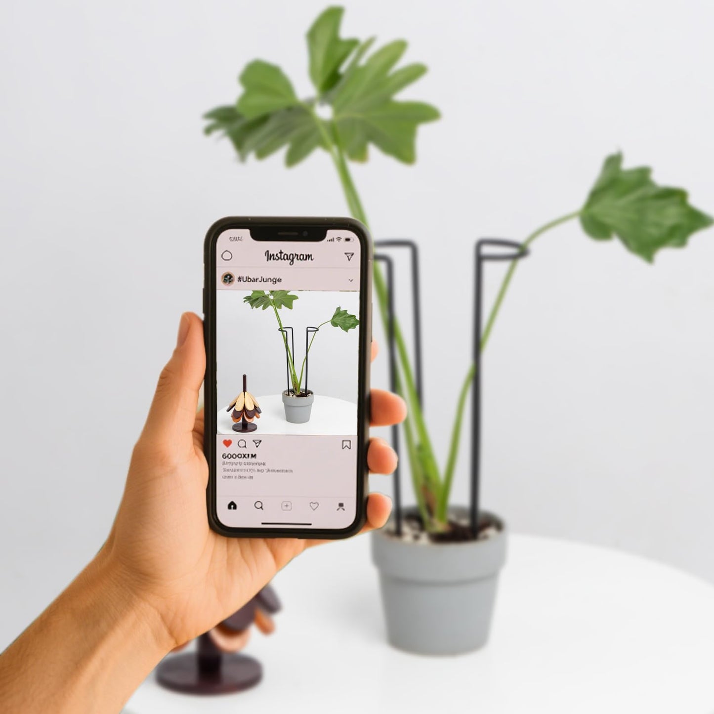 GOOOXIM 10-Pack Monstera Plant Support - 12 Inch Durable Iron U-Shaped Trellis Stakes for Indoor & Outdoor Medium-Sized Potted Plants - Perfect Stem Holder for Monstera & More