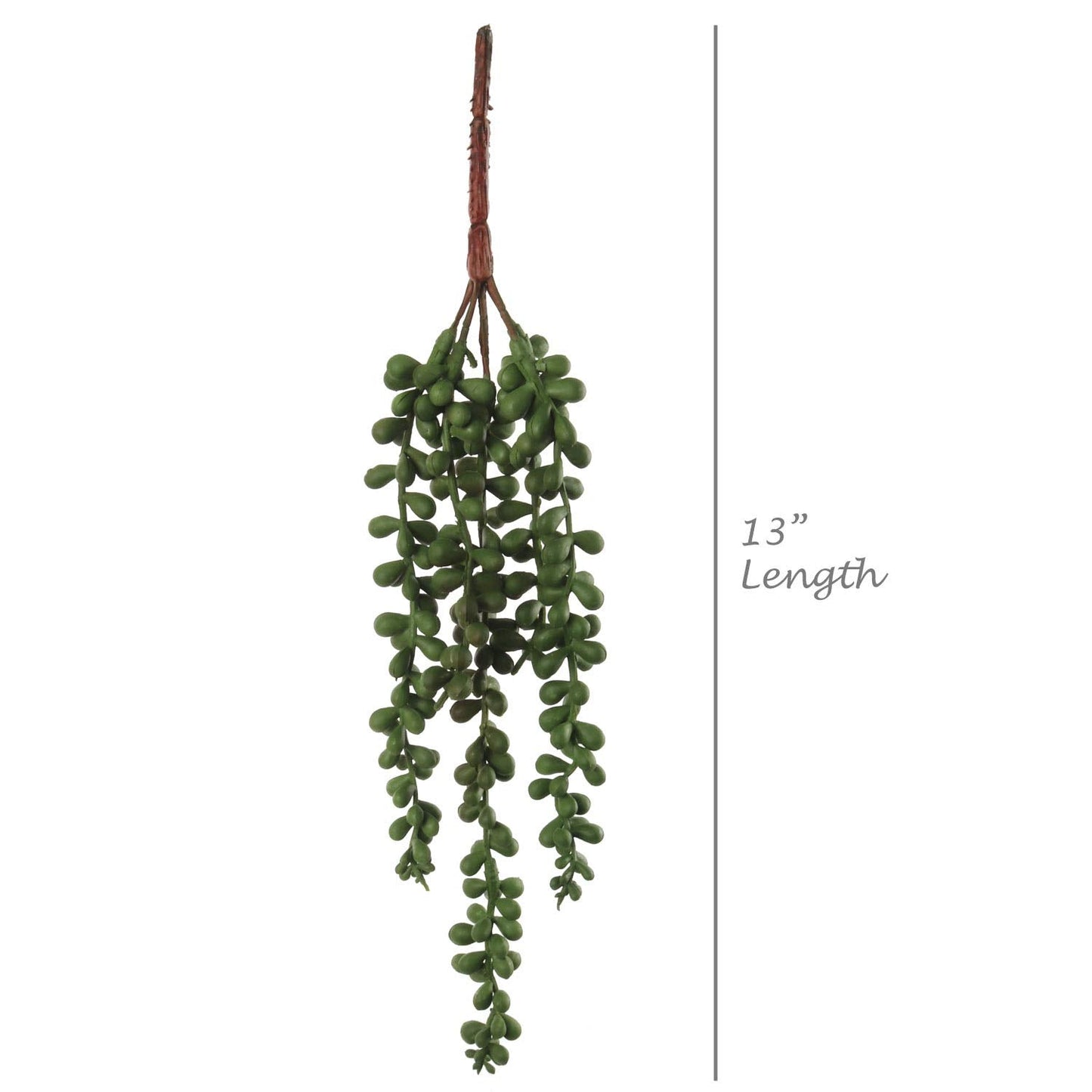 Larksilk 13-Inch Hanging Succulent Plant Strand with 3 Pearls - Lifelike Durable and Easy-to-Hang Decor for Indoor/Outdoor Spaces - Perfect for Home, Office, Events
