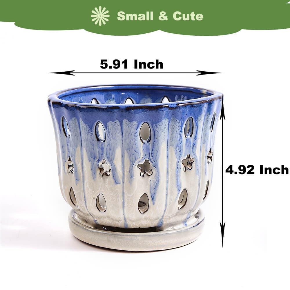 NiSevenLiving Orchid Pots with Holes Attached Saucers 6 Inches - 1 Pcs Small Ceramic Pots for Repotting, Decorative Ceramic Orchid Planter with Hole for Healthy Root Growth Blue Over White