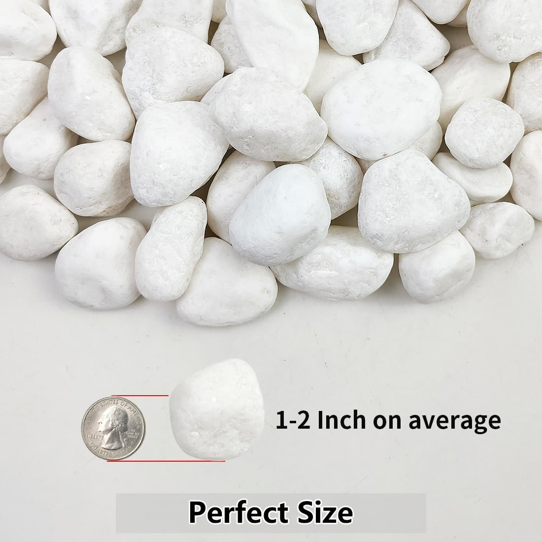 YISZM 5lb White Pebbles for Indoor Plants, 1-2 Inch Natural River Rocks, Snow White Decorative Stones, Ideal for Fish Tank, Vases, Crafting, Home Decor and Garden Landscaping Rocks