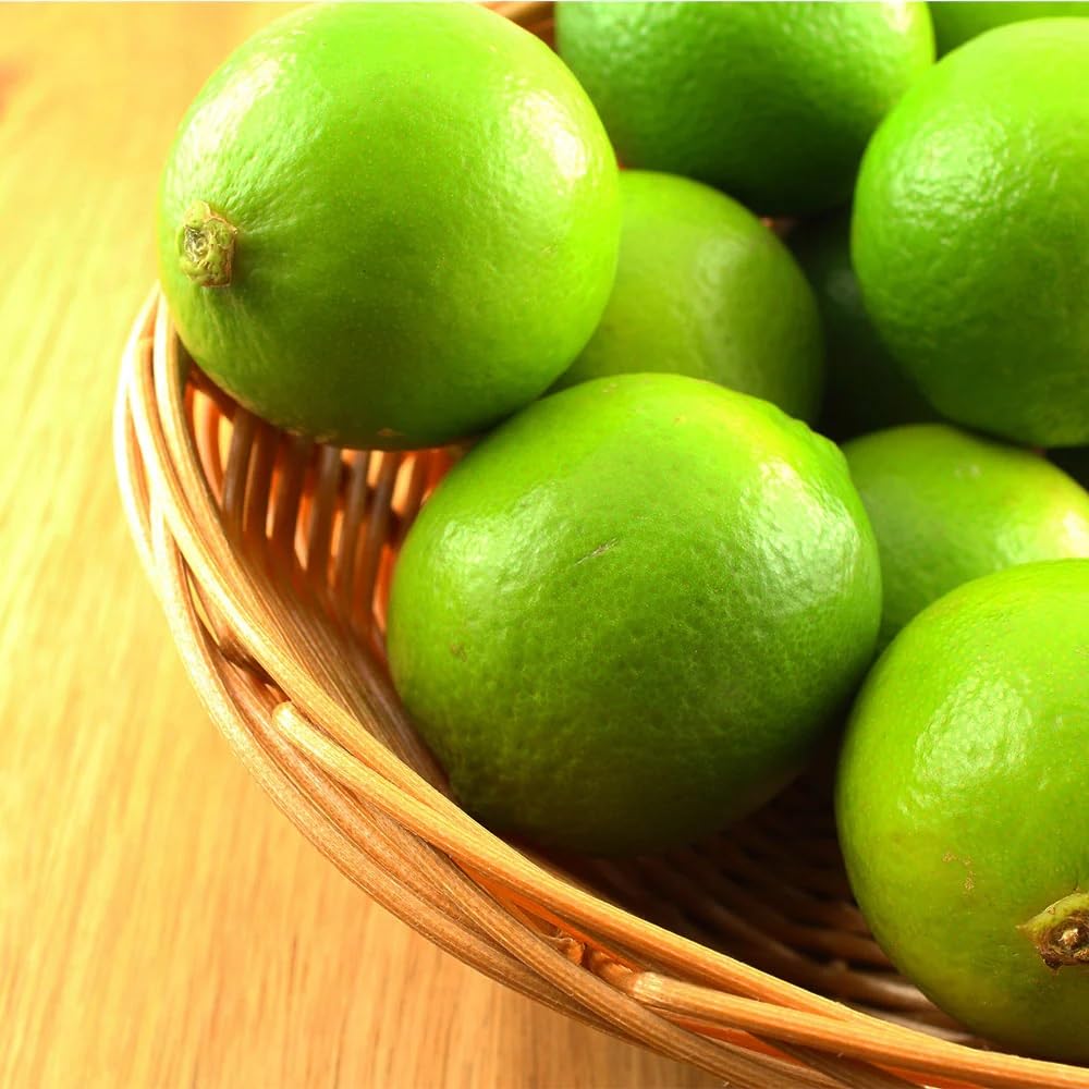 Brighter Blooms - Key Lime Bush, 1 Gallon - No Shipping to AK, AL, AZ, CA, FL, GA, HI, LA, MS, OR, TX