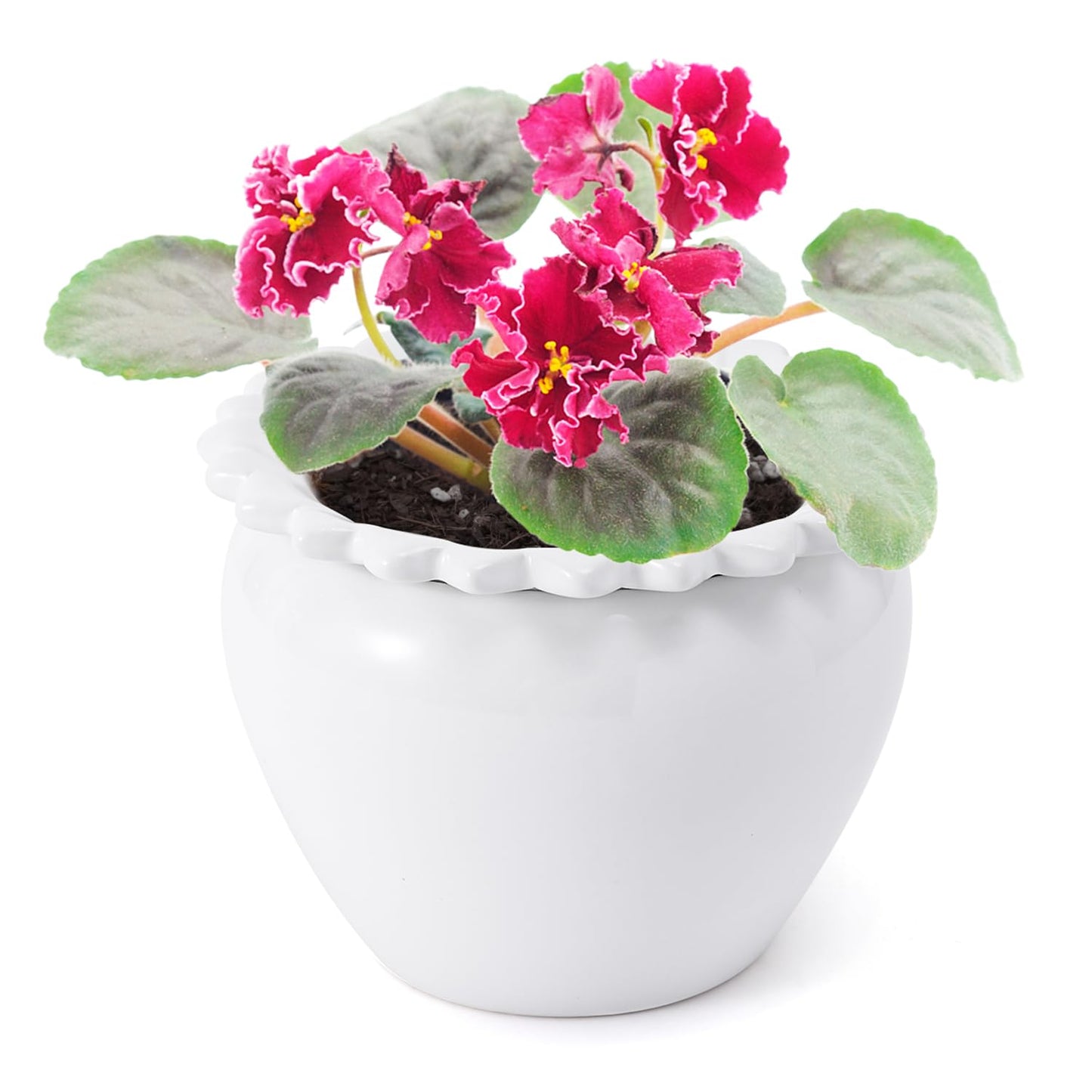 Lovely Ran African Violet Flower Pot Ceramic Self Watering Flower Pot 6.5 * 4.6 * 4 inch Simple Plant Self Watering Pot Indoor Flowers High Absorption Herbaceous Flower Pots Modern Decor Pots
