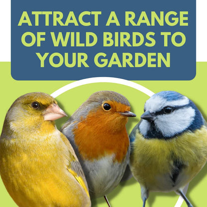 Copdock Mill Pet Performance Wild Bird Four Seasons Mix 5 Litre Tub – All Year-Round Wild Bird Seed – 100% Natural Ingredients – Suitable for All Wild Bird Species