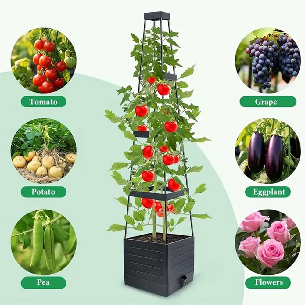Qhinaster Raised Garden Bed Planter Box with Trellis 57" Self-Watering Tomato Cage Planters for for Climbing Vegetable and Plants, Raised Tomato Planter Boxes (1 pcs)