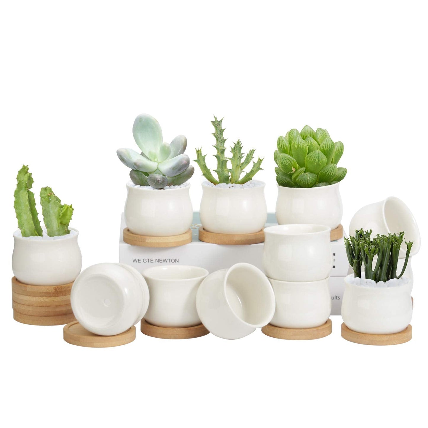 ZOUTOG 12 Pack Succulent Pots, 2.5 Inch White Mini Ceramic Planters with Drainage Hole, 2.5 inch Square Pattern Ceramic Planters, Plants Not Included