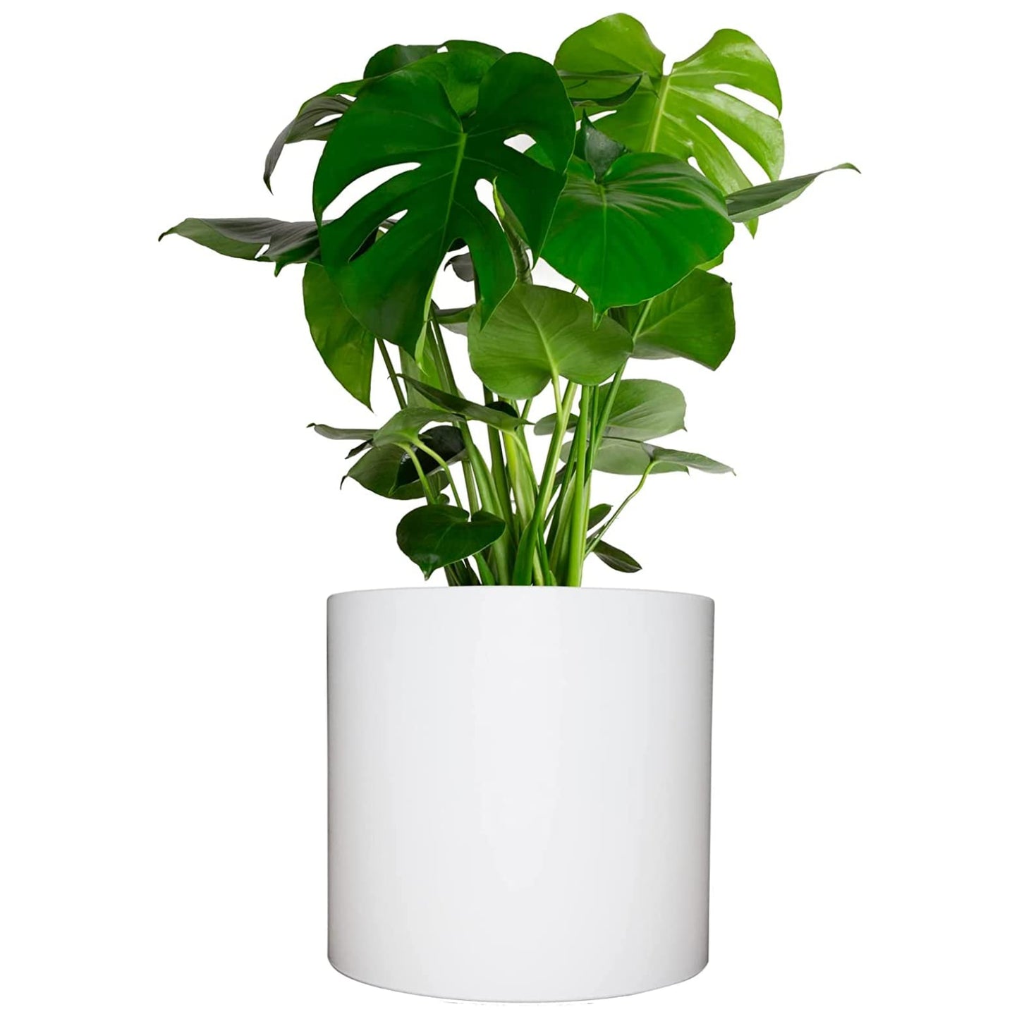 Elly Décor 12 inch Round Cylinder Plastic Planter with Drainage, Round Classic Smooth Texture, Lightweight & Extremely Durable 12" x 12" Cylinder Pot White