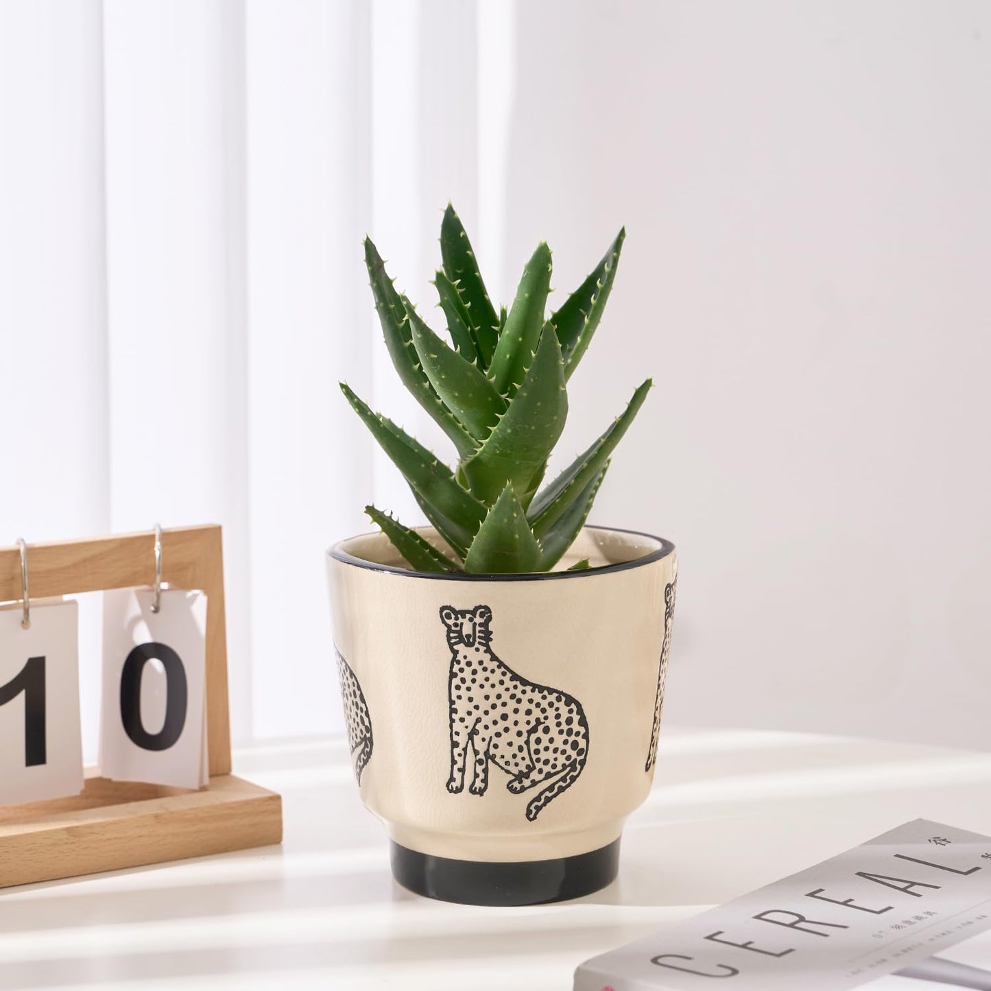 STHIE 5 Inch Ceramic Planters for Indoor Plants, Funny Small Plant Pots with Drainage, Unique Decorative Cute Flower Pot Panthers Round Flowerpots