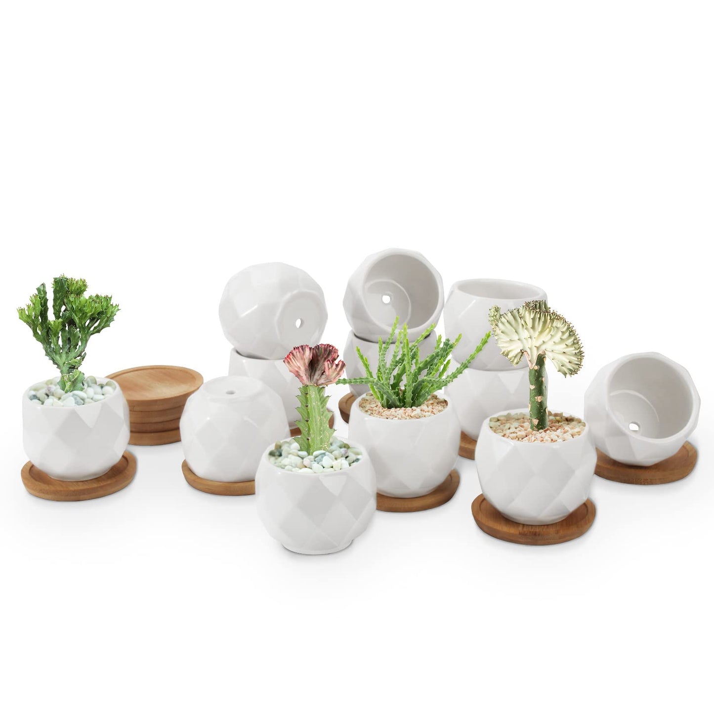 ZOUTOG 12 Pack Succulent Pots, 2.5 Inch White Mini Ceramic Planters with Drainage Hole, 2.5 inch Square Pattern Ceramic Planters, Plants Not Included