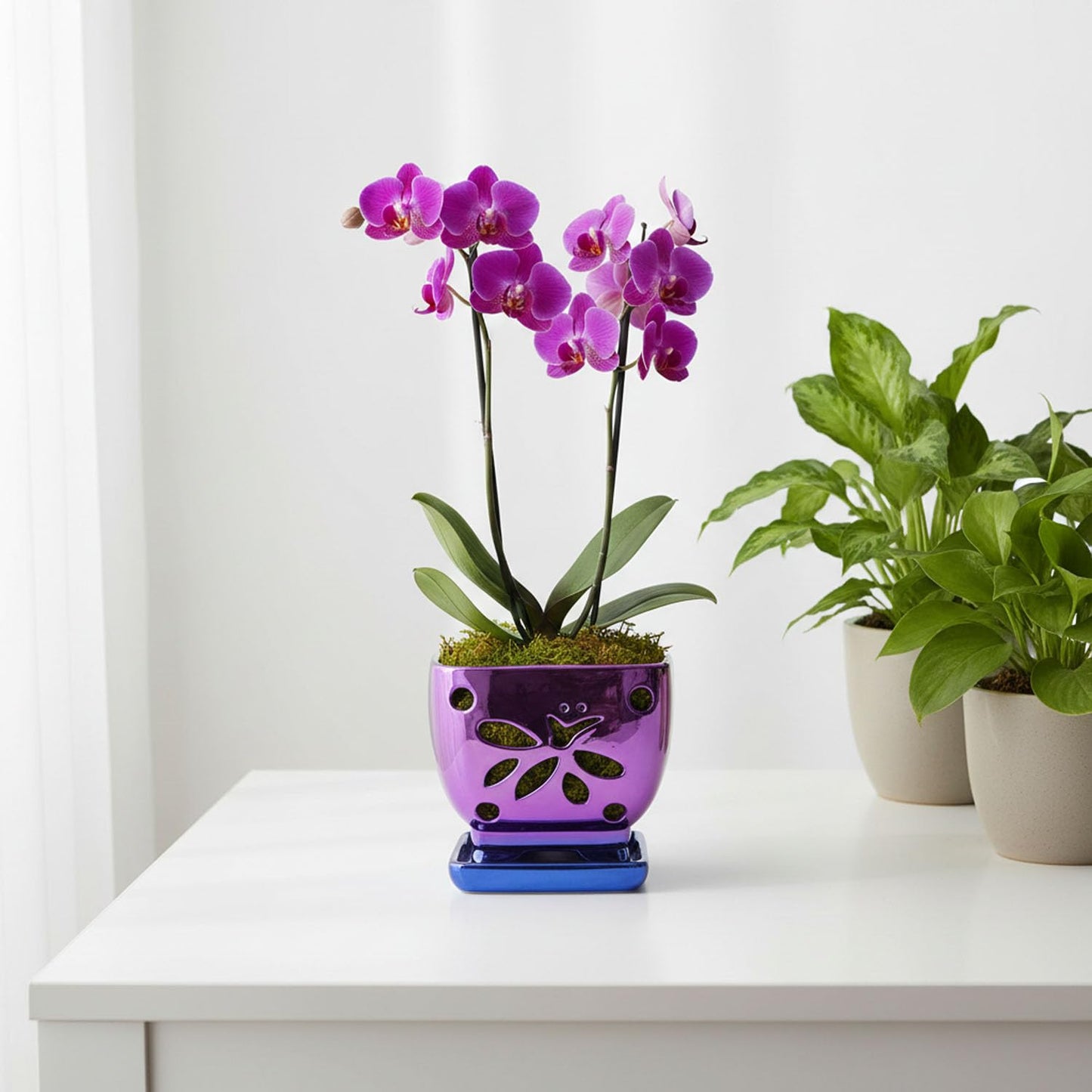 Grdthzey Orchid Pots with Holes Square Ceramic Orchid Planter Pots 5.5 inch (Purple)