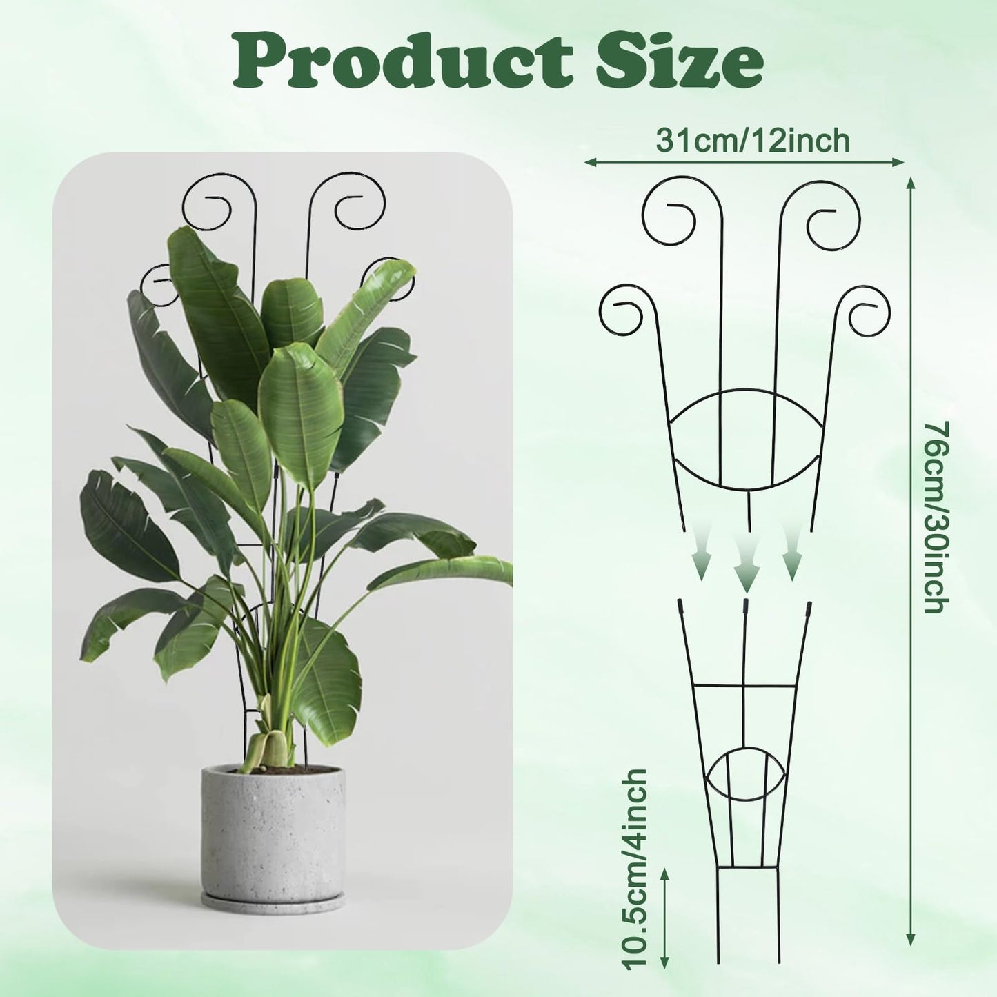 4 Pack Metal Trellis for Climbing Potted Plants Indoor Outdoor - 30 Inch Rustproof Garden Stakes, Plant Support for Monstera Pothos Ivy Hoya Vines, Potted Houseplant