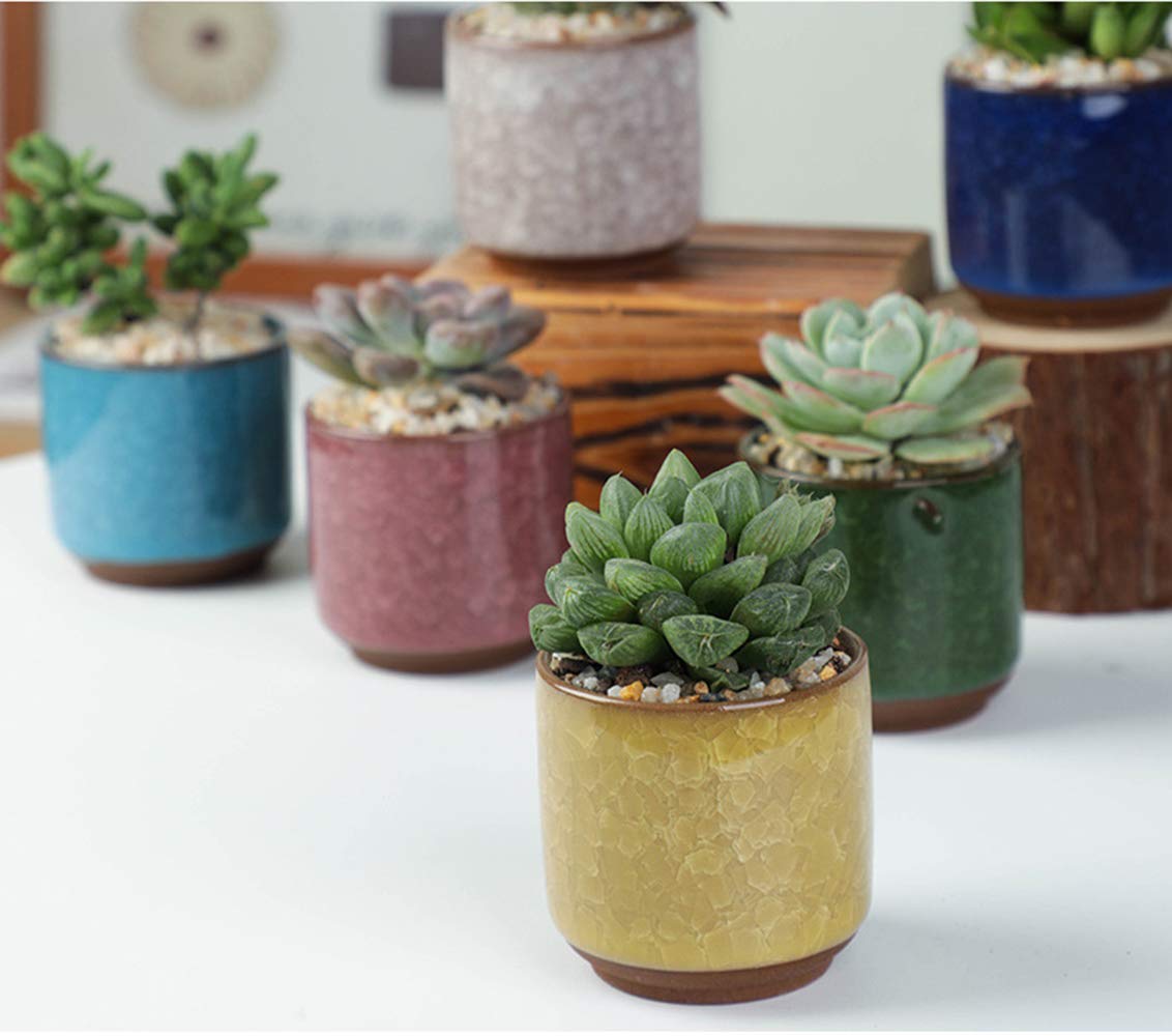 Lawei 8 Pack 2.5 Inch Mini Succulent Plant Pot with Drainage and Bamboo Tray, Small Ceramic Cactus Plant Pot, Flower Pots Faux Plants Containers for Home Garden Office Decoration(Plants NOT Included)