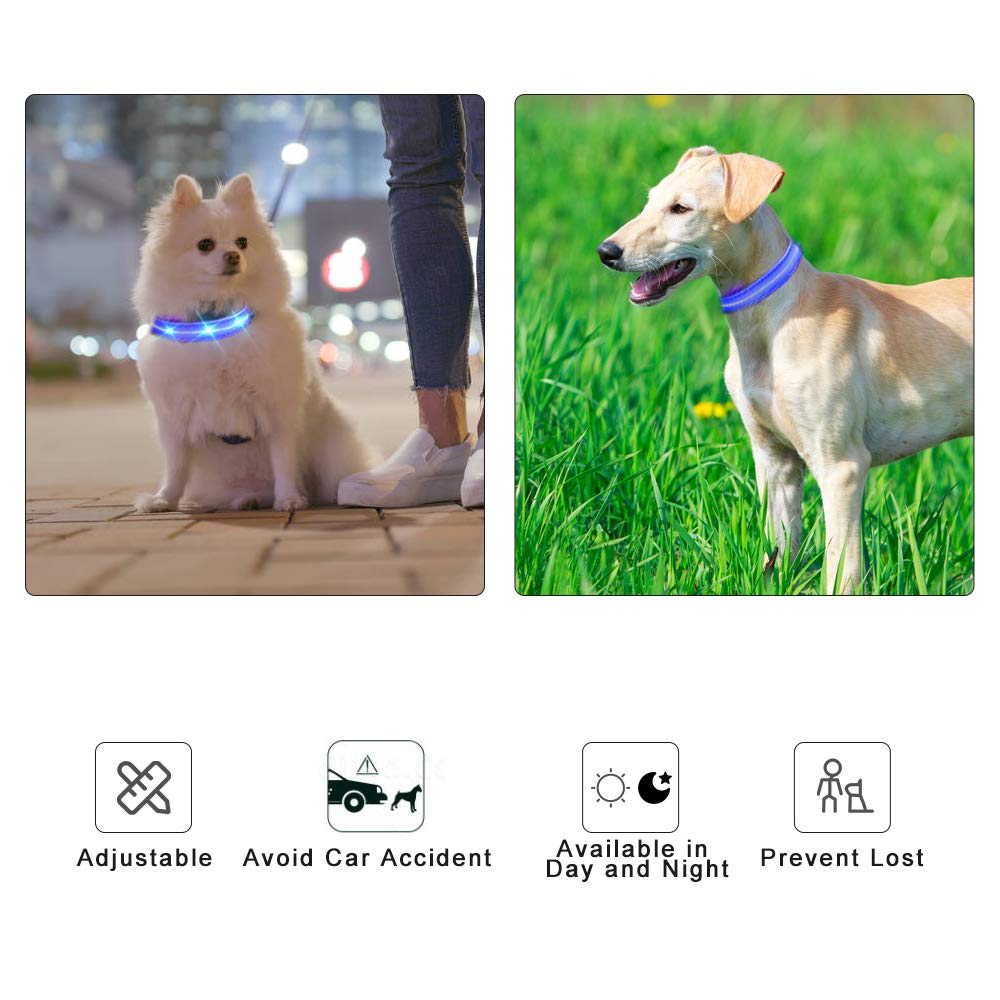 MASBRILL Luminous Dog Collar, LED Rechargeable and Waterproof Dog Collar, 3 Glowing Modes and Adjustable Size Suitable for Small Large Dogs (Blue, M)