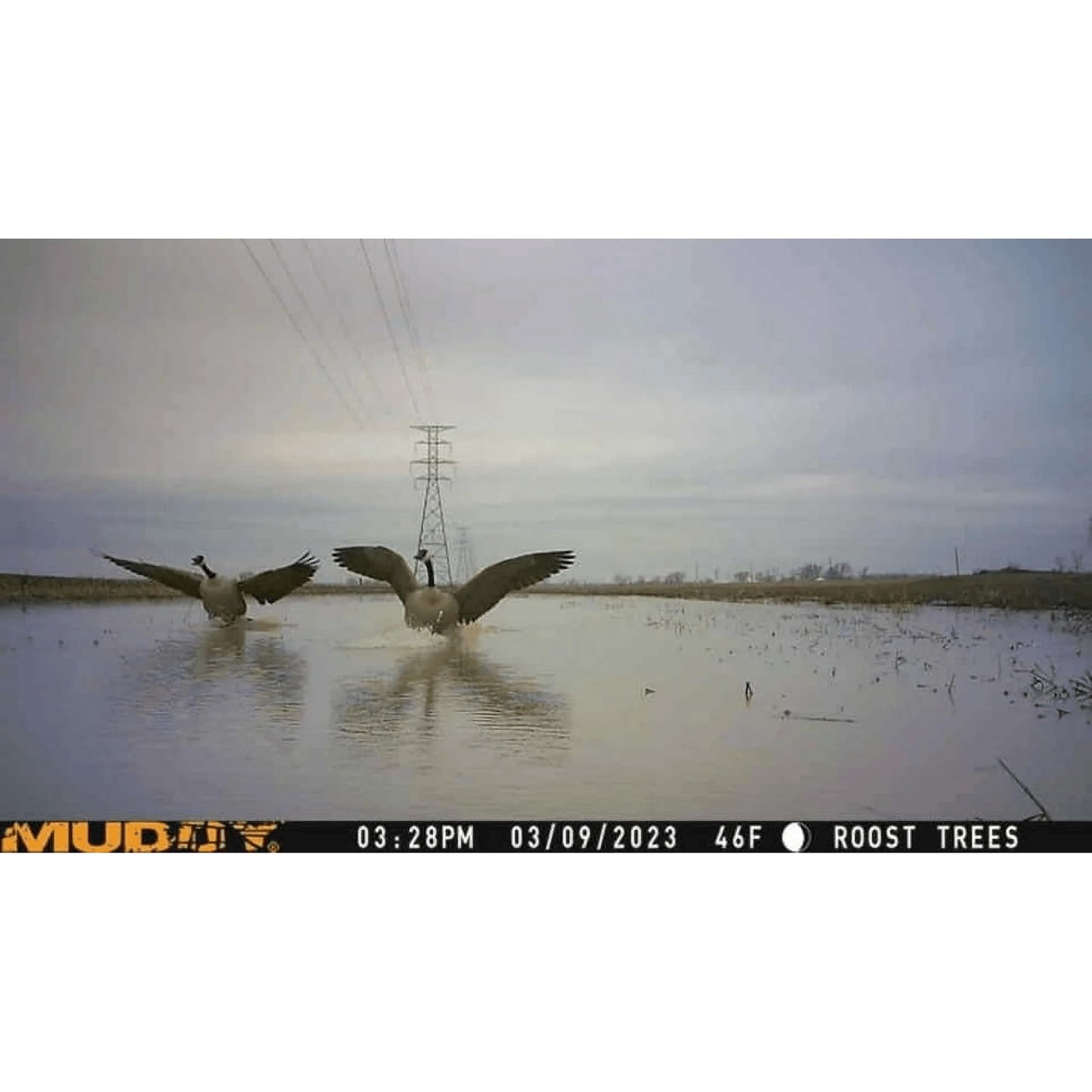 Muddy Mitigator On Demand Cellular Trail Camera – 20MP Wireless Hunting Camera