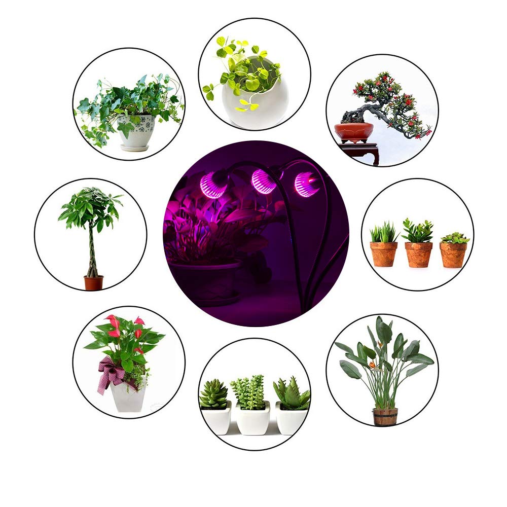 CFGROW Small Led Grow Light, Desk Clip LED Plant Grow Lamp 21W with 3pcs 360° Flexible Goosenecks for Indoor Office Home Garden Greenhouse Table Plants Growing Lighting