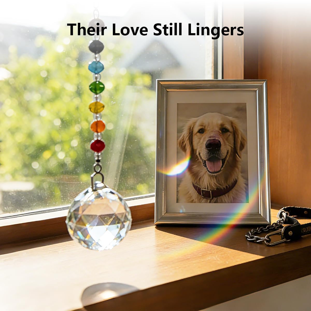 Pet Memorial Gifts for Cats Dogs: Round Ball Crystal Sun Catcher Remembrance Ornament, Cat Memorial Gifts for Loss of Cat, Rainbow Bridge Dog Passing Away, Bereavement Pet Loss Sympathy Gift