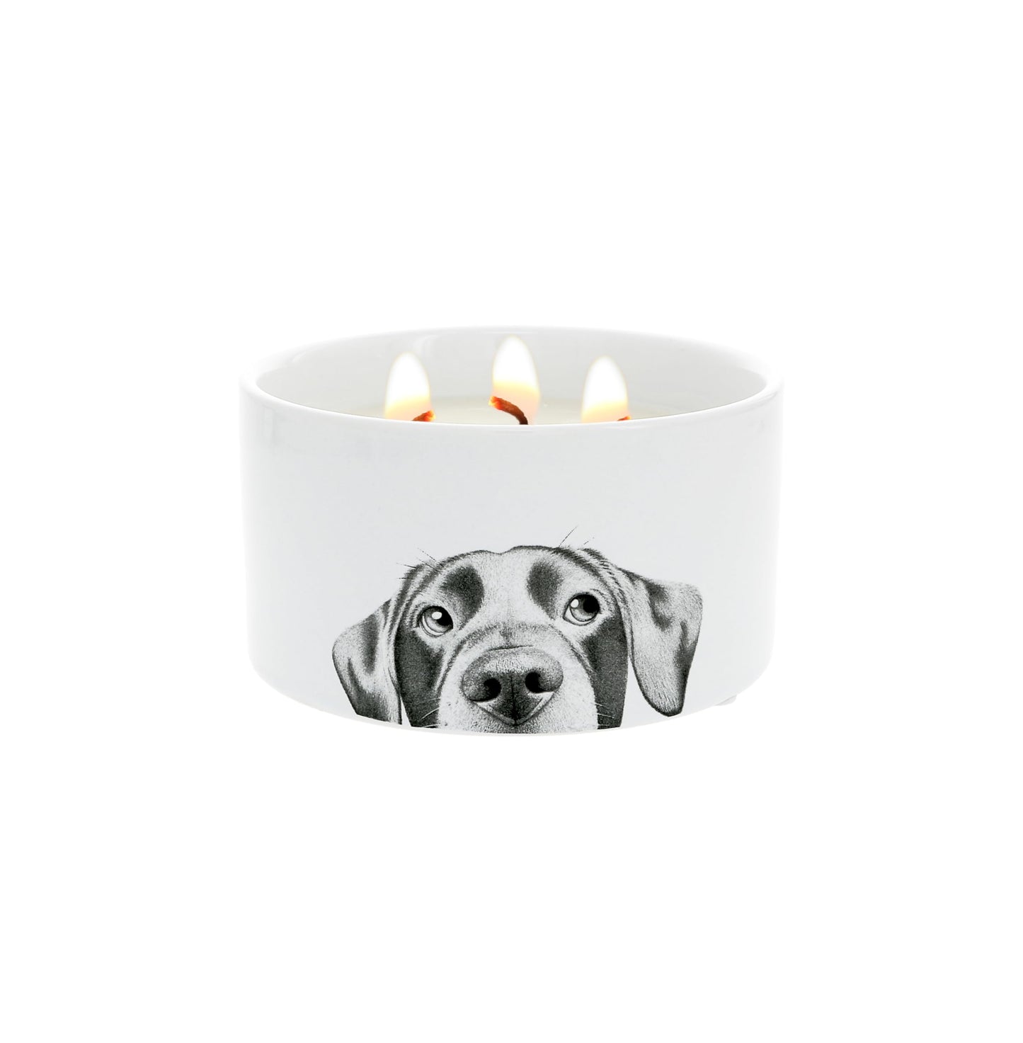 Pavilion Gift Company - Dog - 10 oz Puppy Doggy K9 Wax Reveal Hidden Surprise Art Work Jasmine Scented Housewarming Dog Mom Dog Dad Dog Lover Gift
