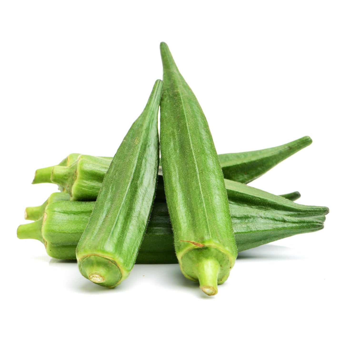 2 Green Okra Plants Live, 4 Inches Pot, 4 to 6 Inches Tall Okra Starter Plants, Vegetable Live Plants for Garden