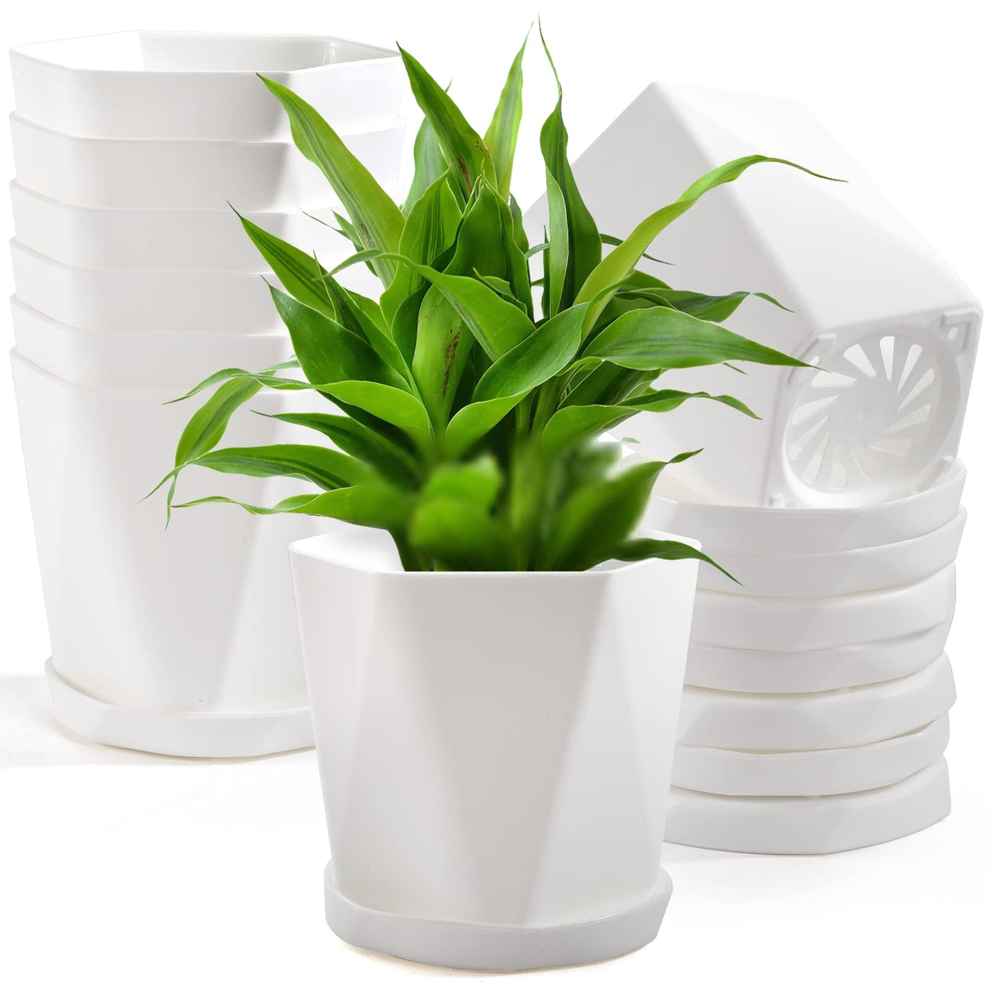 Foraineam Plastic Planters, Set of 8 White 5 inch Flower Pots with Drainage Holes and Trays, Suitable for Indoor and Outdoor Gardening