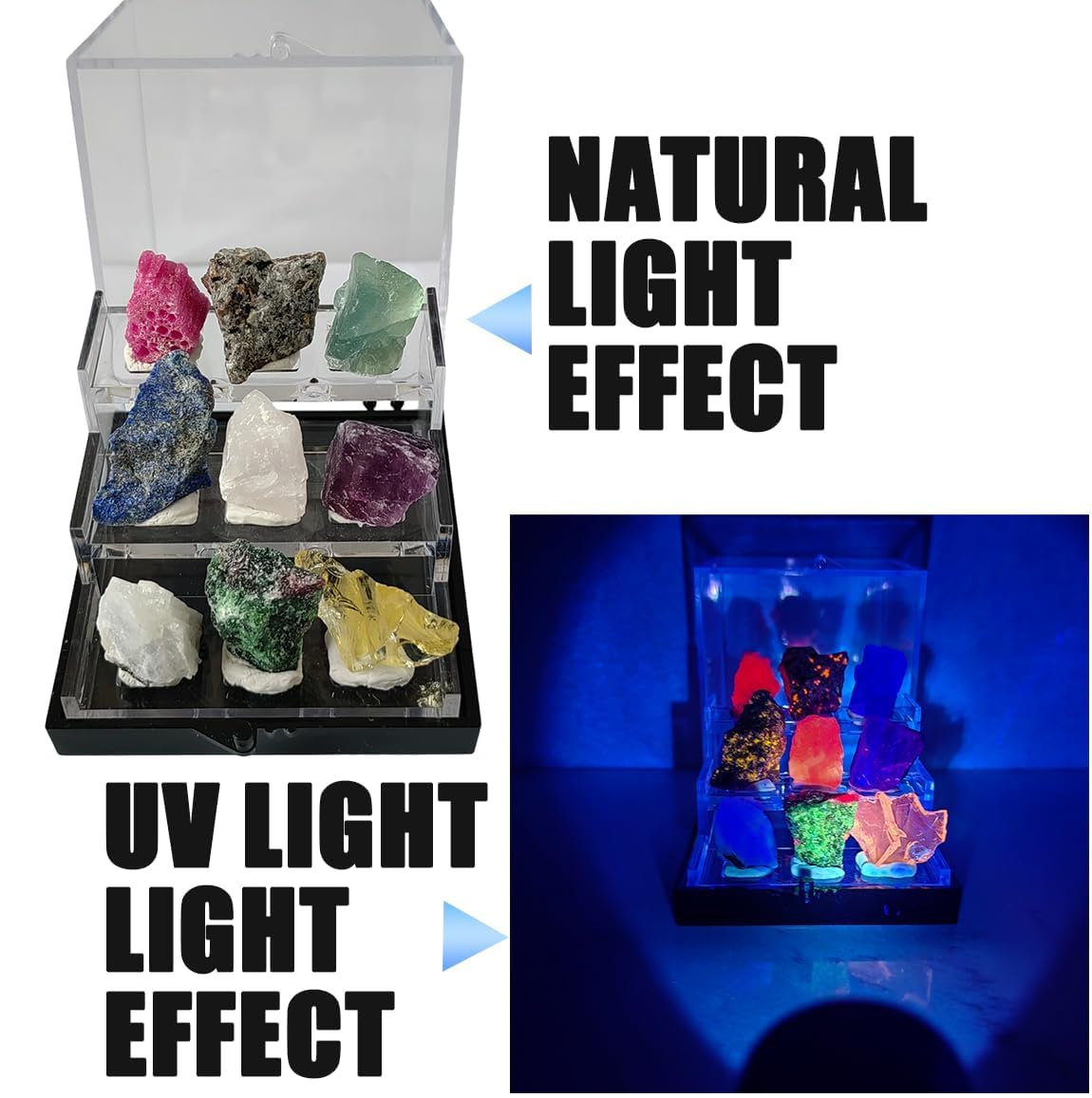Fluorescent Mineral Specimens, Glowing Under UV, Rare Collectibles, 9 Glowing Rocks with Display Case