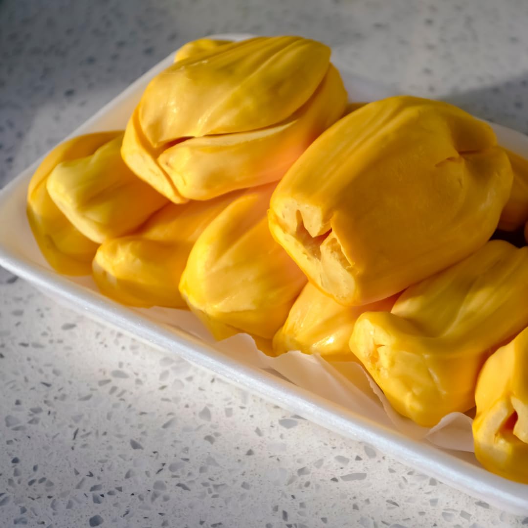 Live Jackfruit Tree Plant, Sweet Jackfruit Tree, Hardy Fruit Seedling, 2-3 Feet Tall for Outdoor Planting