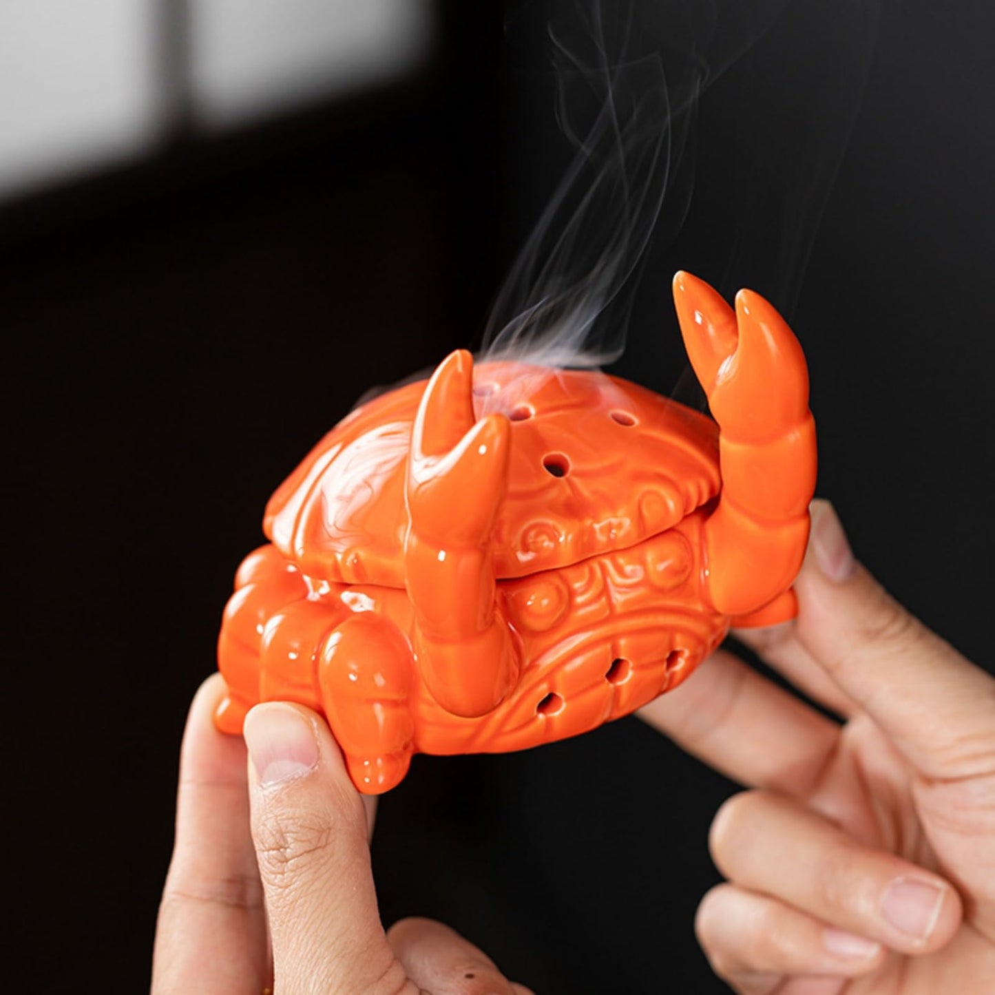 Crab Incense Burner with Incense Stick Holder Ceramic Incense Holder for Home Office Decor Ash Catcher