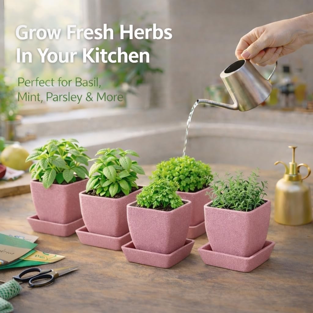 3.5 Inch Small Planter Pots with Drainage Holes and Saucers, Matte Square Indoor Plant Pots for Succulents and Herbs, Lightweight Modern Planters for Kitchen Herb Garden, Windowsill or Desk 5 Pack