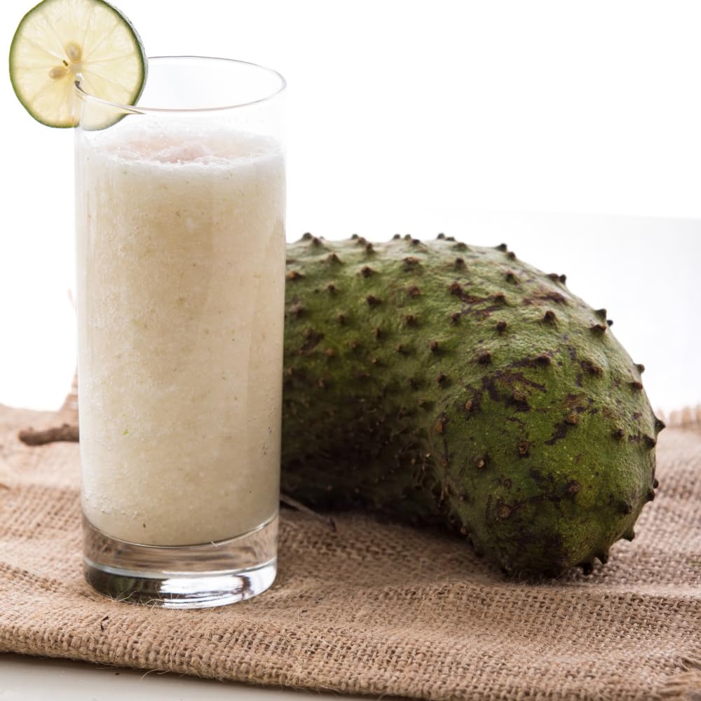 2 Live Soursop Guanabana Trees Live Plants, Starter Tropical Fruit Annona Muricata Sweet Soursop for Outdoor Planting, 4-7 Inches in Tall