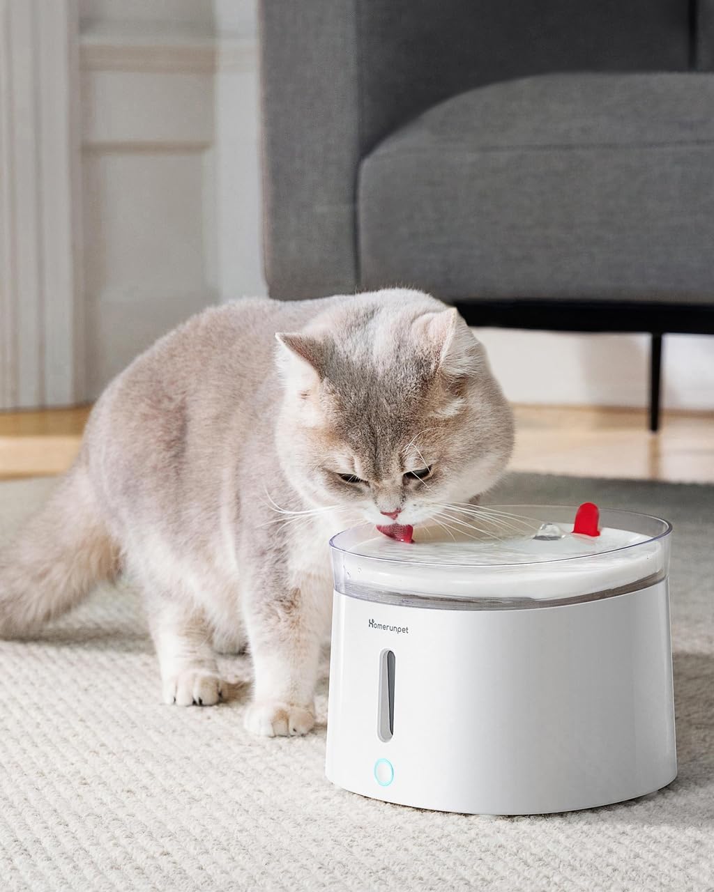 Homerunpet Cat Water Fountain Porcelain-Tray with Self-Cleaning Wireless-Pump, Ultra Quiet Pet Water Fountain for Cats and Dogs, Easy to Clean and Assemble, Filters Included, Smart LED Light, 68oz/2L