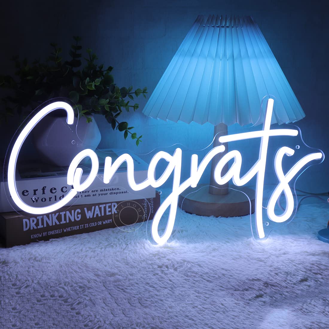 SYLHOME You Are Amazing LED Neon Light Sign 5V Girls Boys Bedroom Living Room Classroom Wall Decor Sign Hanging Smart Kid Birthday USB 16.9" X 10.6" Warm White