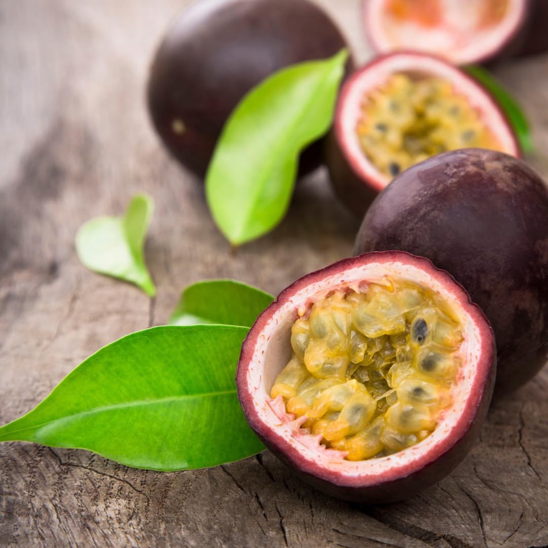 2 Passion Fruit Plant, Passion Fruit Tree, Purple Passion Fruit - Purple