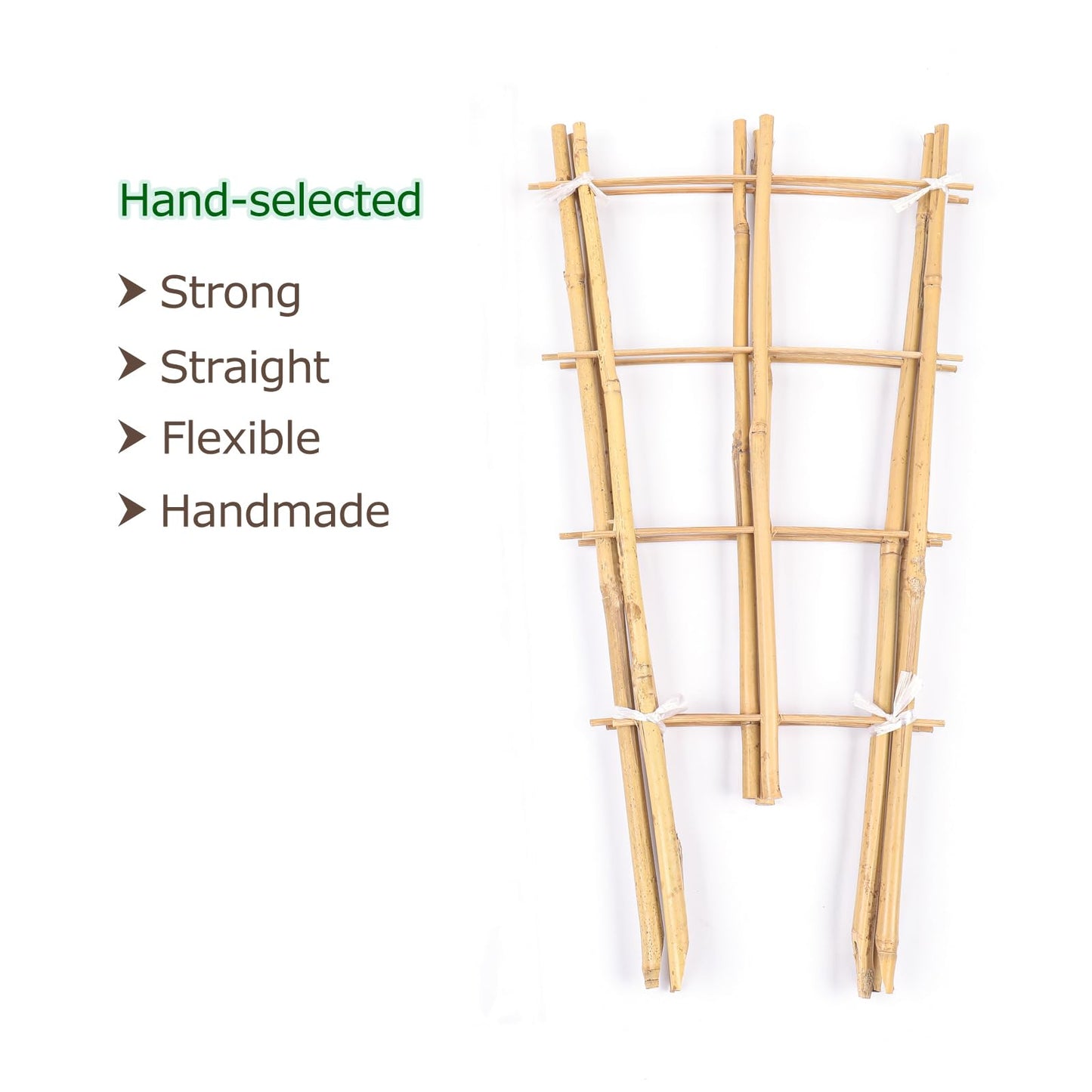 Cambaverd Trellis for Climbing Plants Indoor Outdoor, Natural Bamboo Trellis 24 Inch, 3 Pack Garden Trellis for Potted Plants, Ivy, Monstera, Houseplants