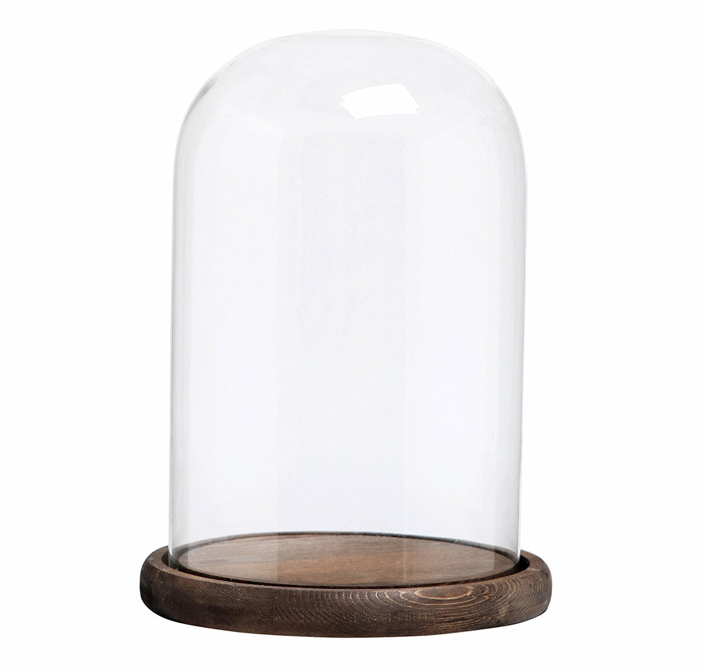 MyGift The Bell Jar Glass Cloche with Rustic Wood Base, 10 Inch Tall Clear Decorative Glass Dome Display for Plants, Curios, Keepsakes, Heirlooms