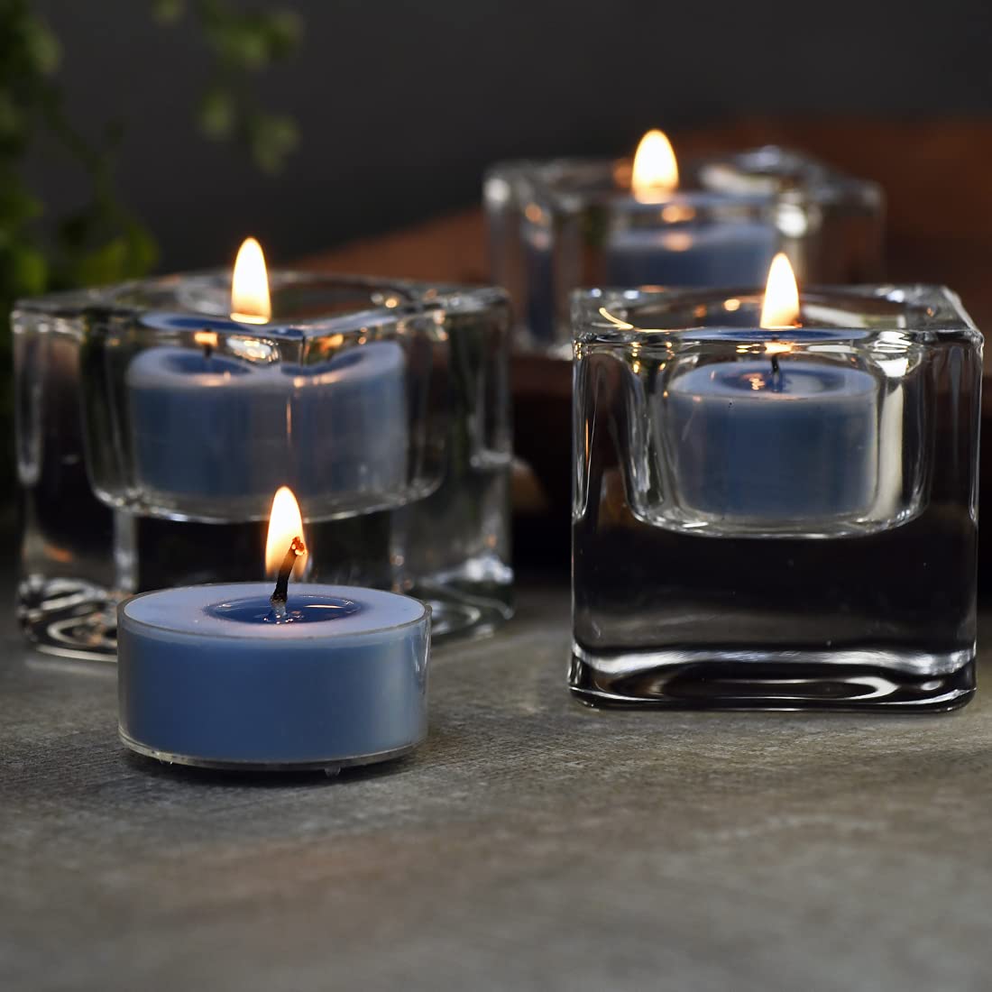 DEYBBY Ocean Breeze Scented Tealight Candles Bulk, Aromatherapy Soy Wax Tea Candle Set of 24-4 Hour Burning Great Gift