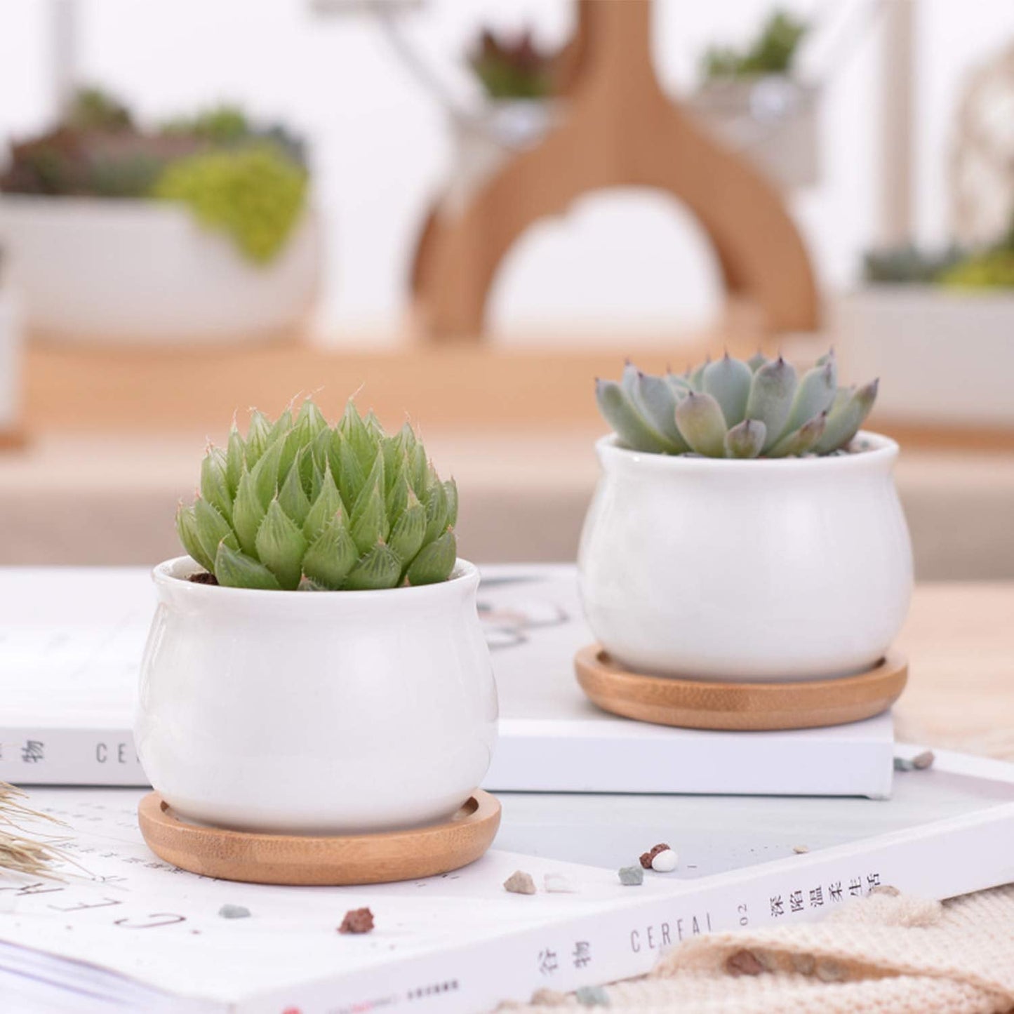 Brajttt Succluent Pots ，Small Flower Pots Planter Pots with Drinage,Ceramic Flowers Pots with Bamboo Tray for Cactus(12 Pack