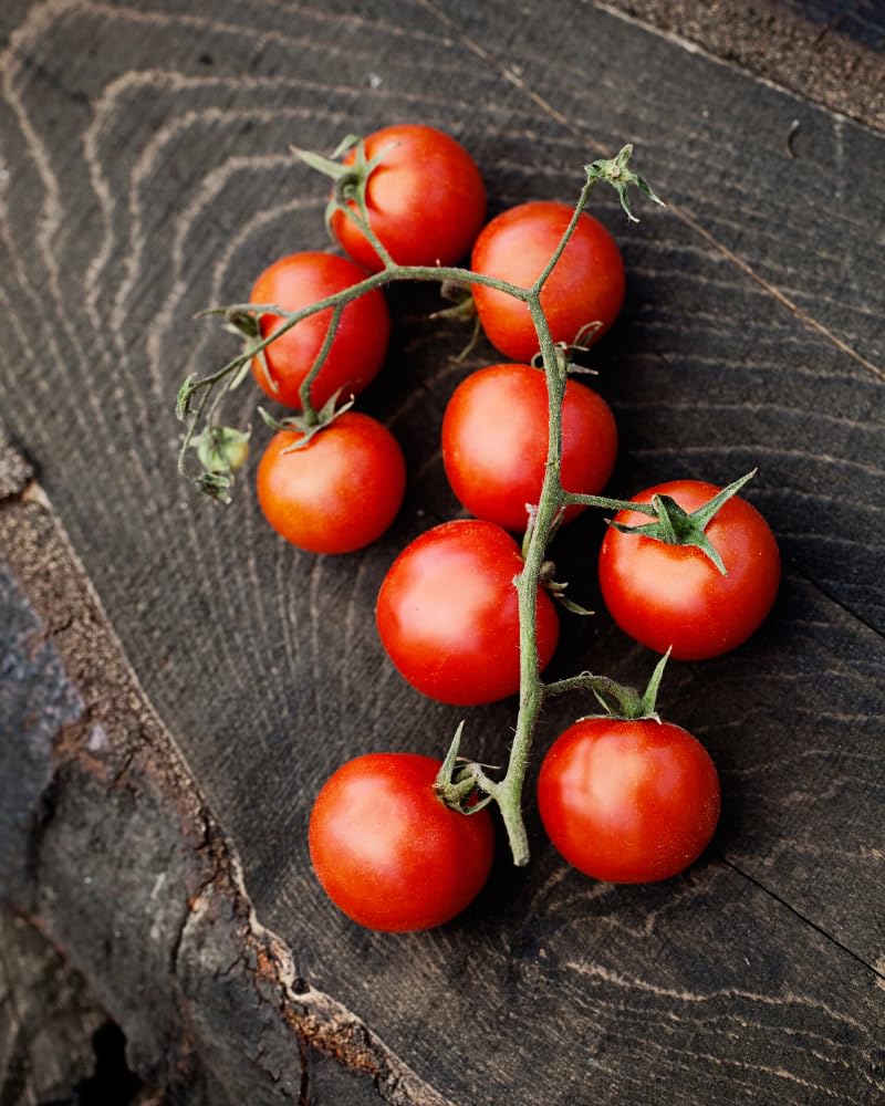 TomorrowSeeds - Large Red Cherry Tomato Seeds - 500+ Count - For 2026 Planting Indeterminate Baby Vine Plum Grape Tomatoes Vegetable Fruit Grow Your Own Home Farm Patio Healthy Sustainable Living Seed