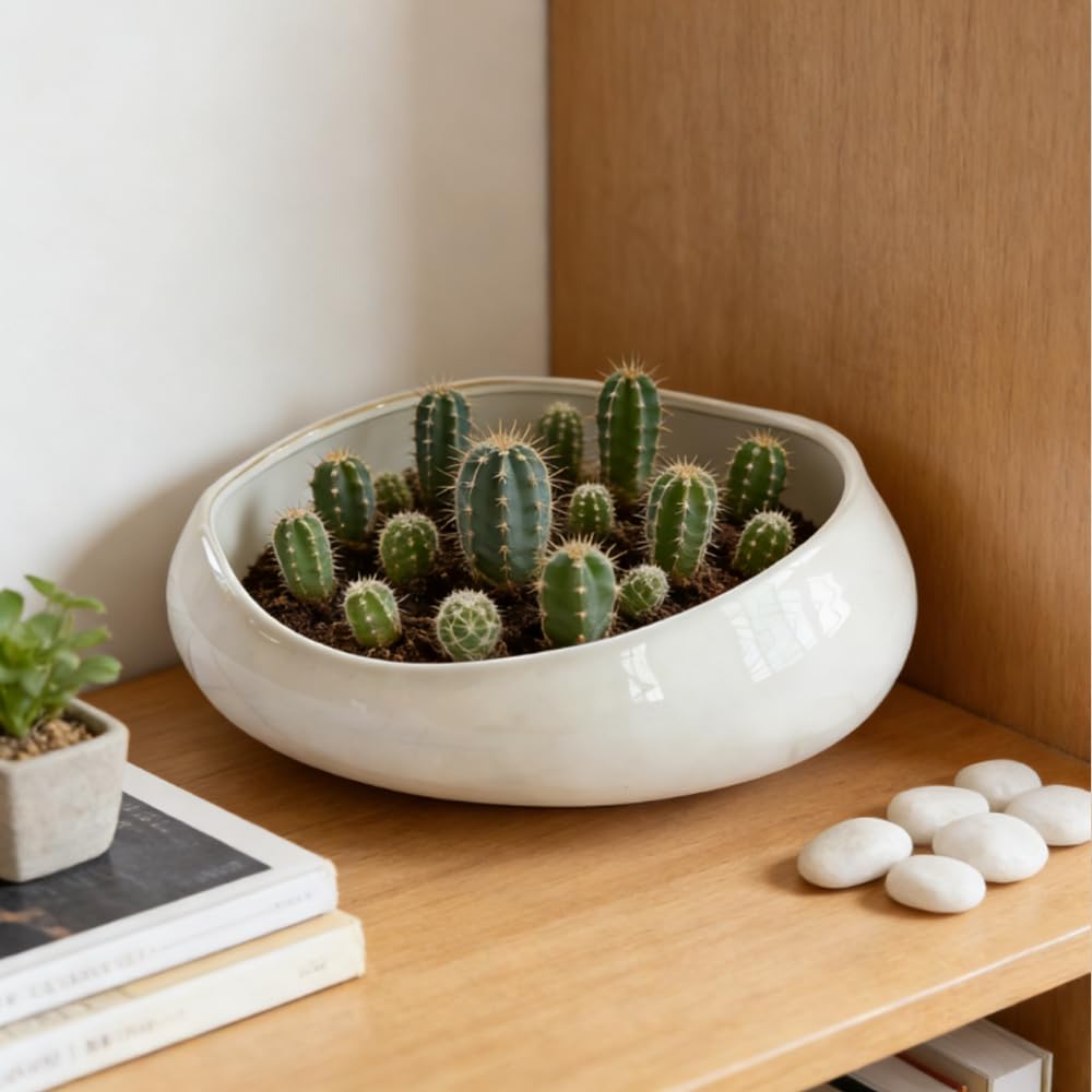 FANFANJIA Modern Ceramic Succulent Pot with Drainage – Indoor Plant Pots, Artistic Design Flower Pots for Home, Office, Weddings & Party Décor