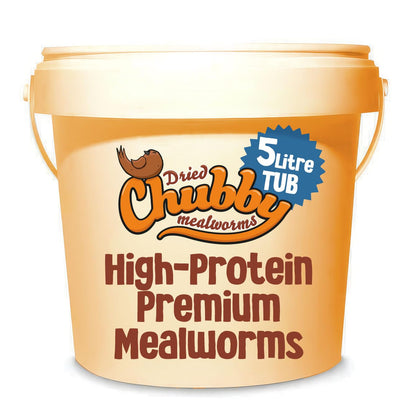 Chubby Mealworms (5 Litre), Dried Mealworms For Wild Birds, Protein Rich Dried Meal Worm High Energy for WildBirds, Reptiles, Gecko