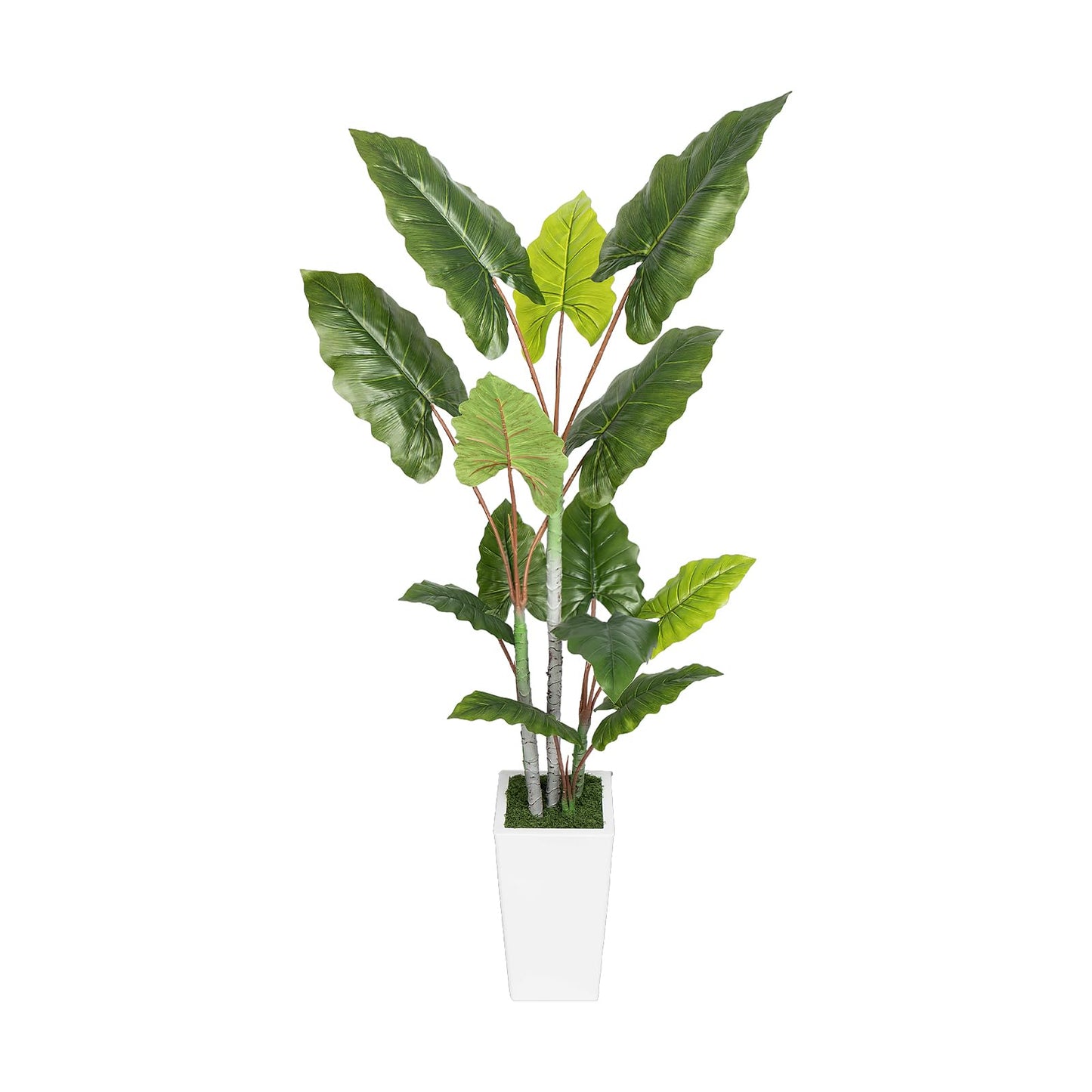 Artificial Plant Indoor 5.5FT - Fake Tree with White Tall Planter - Faux Silk Plants Tall Fake Floor Plant in Pot - Artificial Trees for Home Office Living Room Decor Indoor